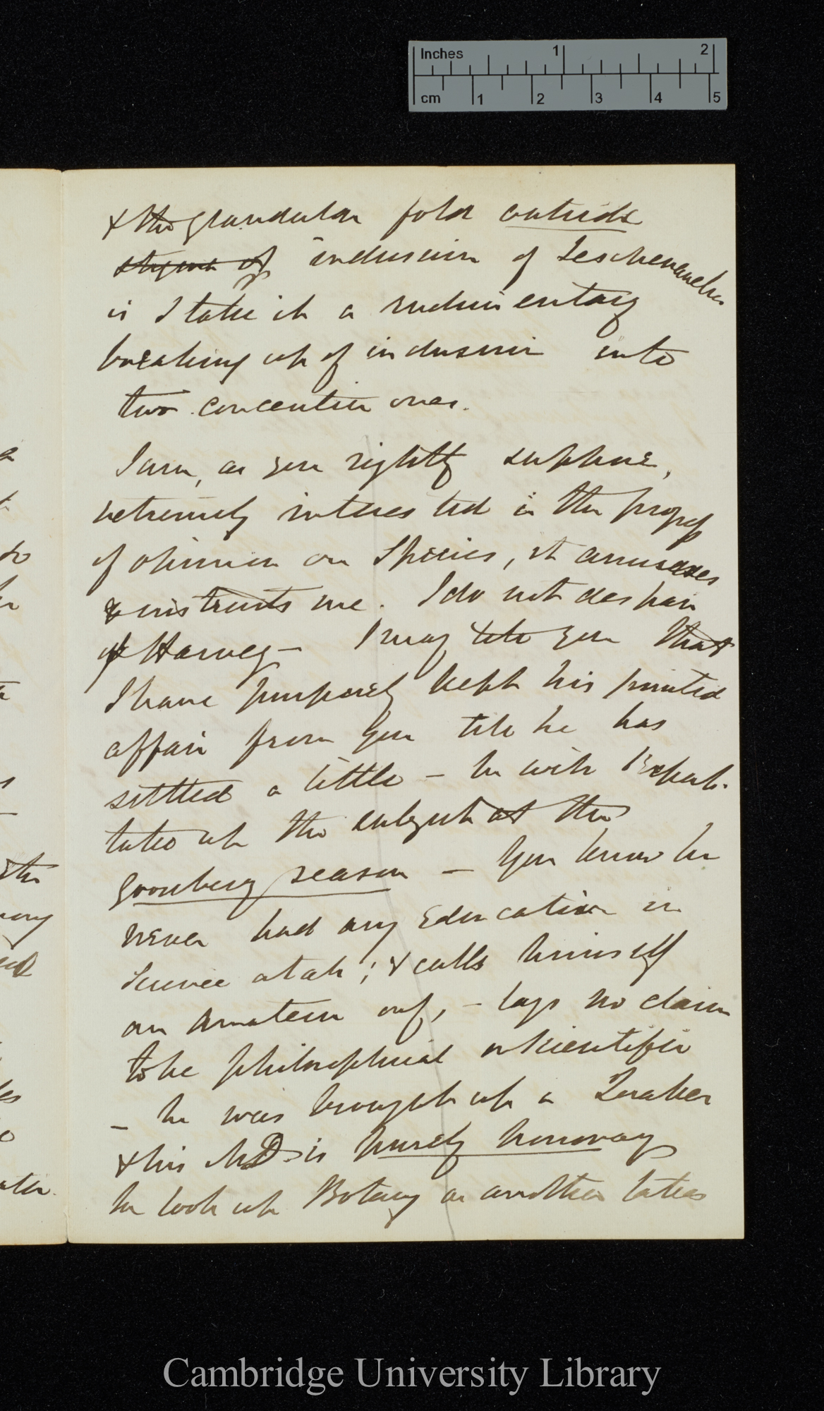 Sir Joseph Dalton Hooker to Charles Robert Darwin