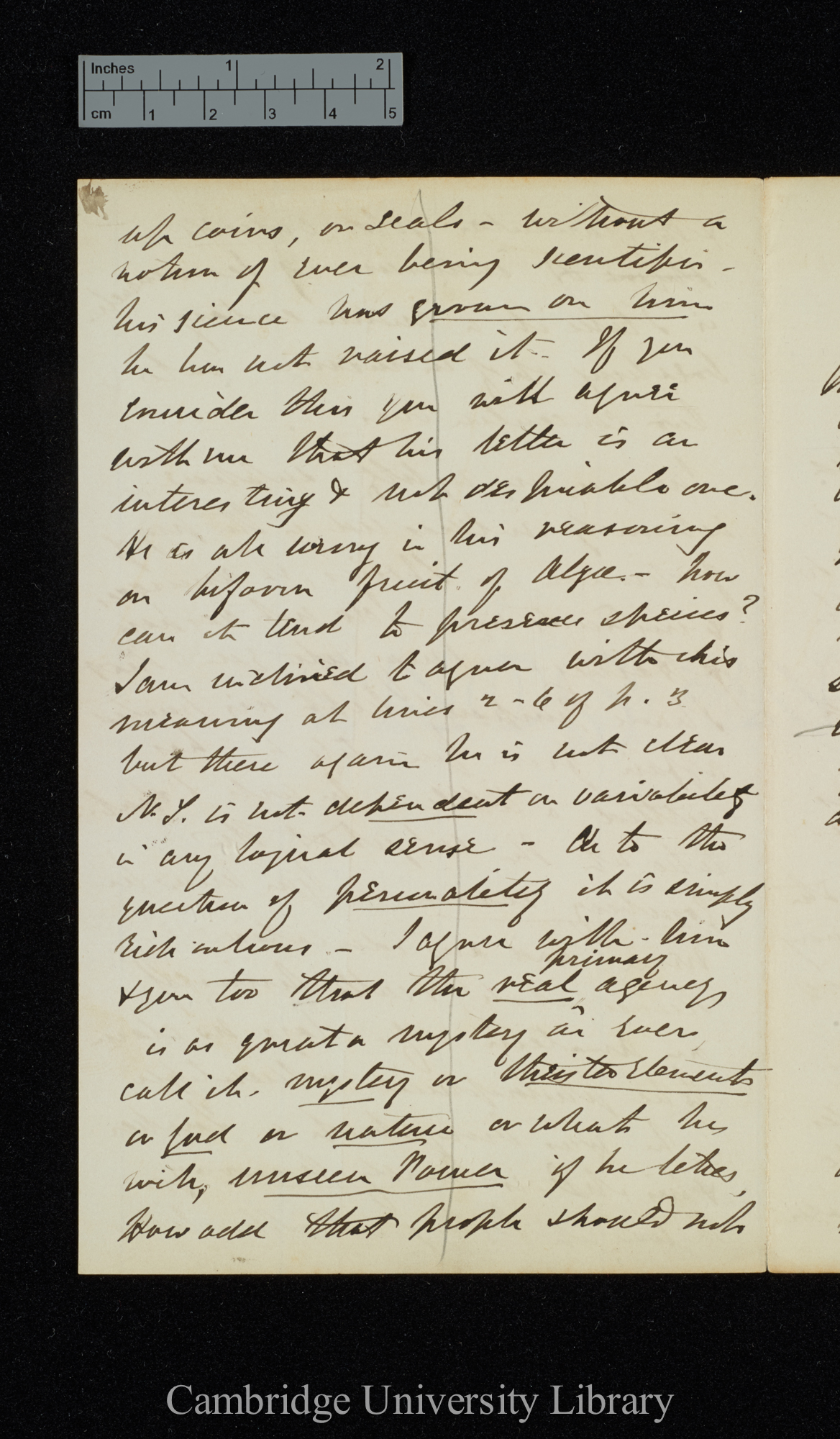 Sir Joseph Dalton Hooker to Charles Robert Darwin