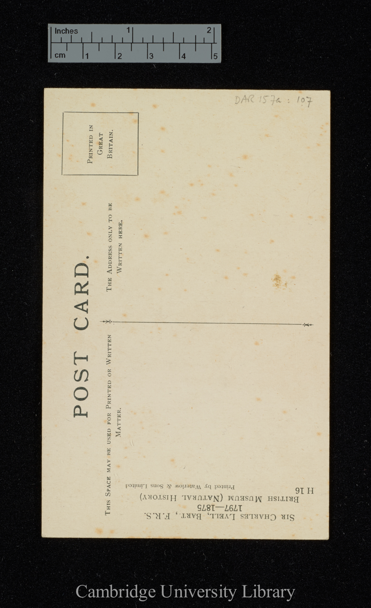 verso of postcard