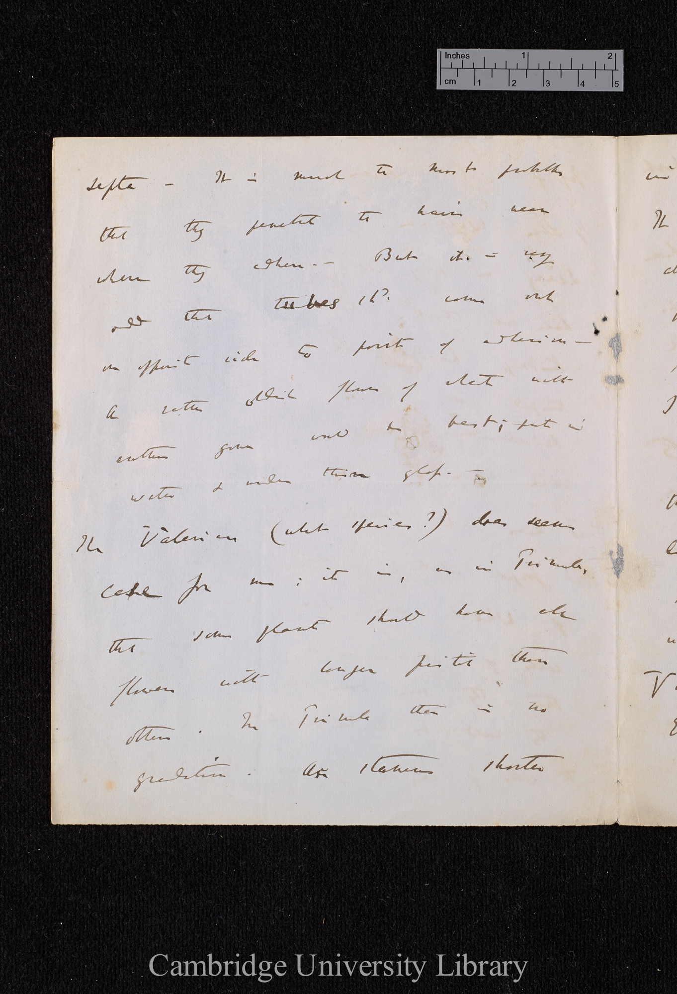 Charles Robert Darwin to William Erasmus Darwin