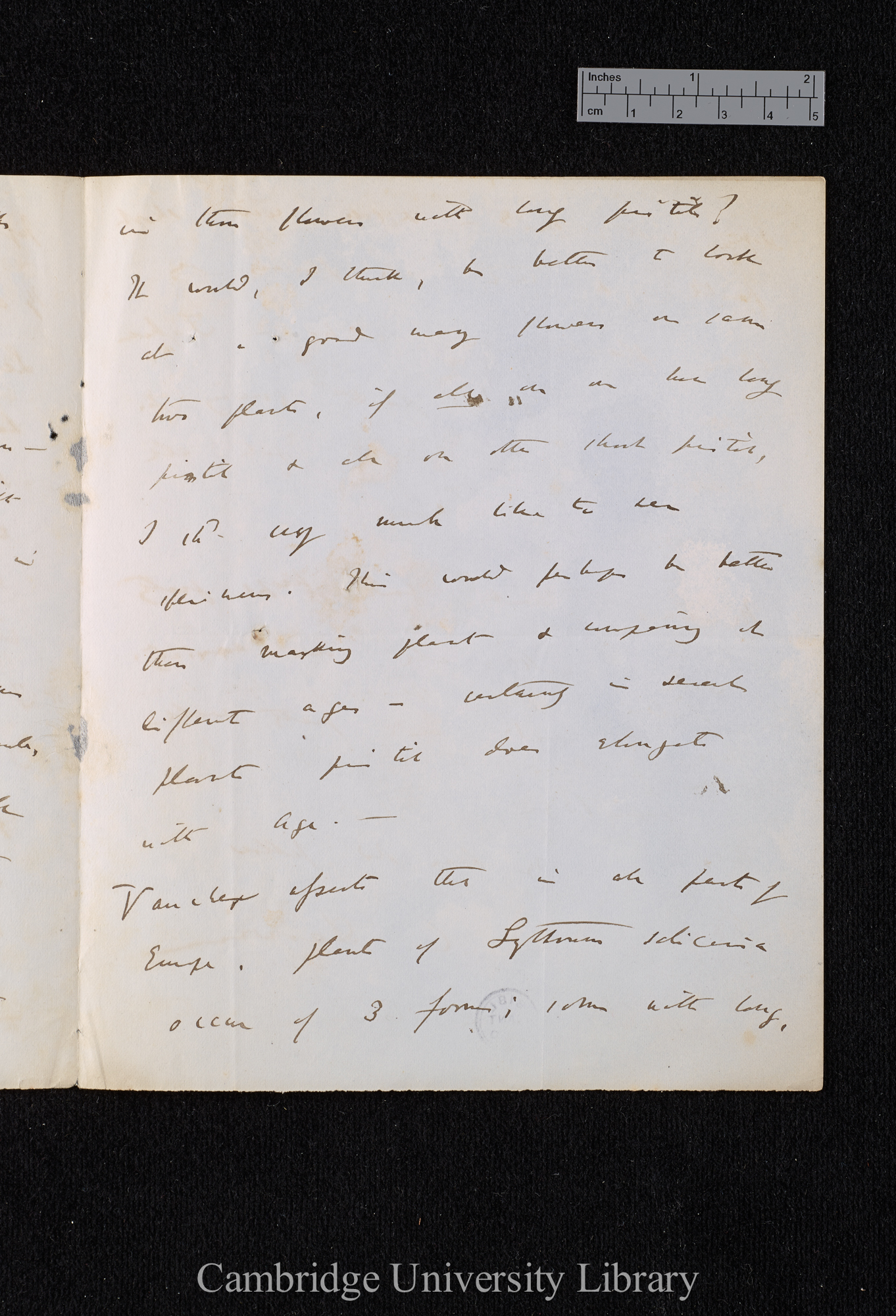 Charles Robert Darwin to William Erasmus Darwin