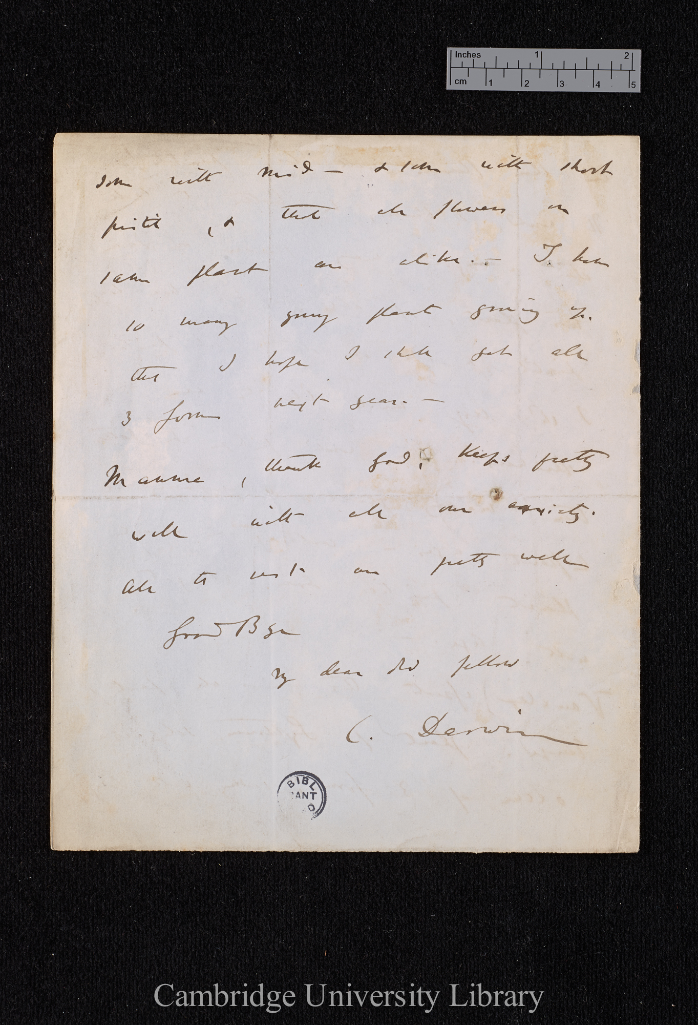 Charles Robert Darwin to William Erasmus Darwin