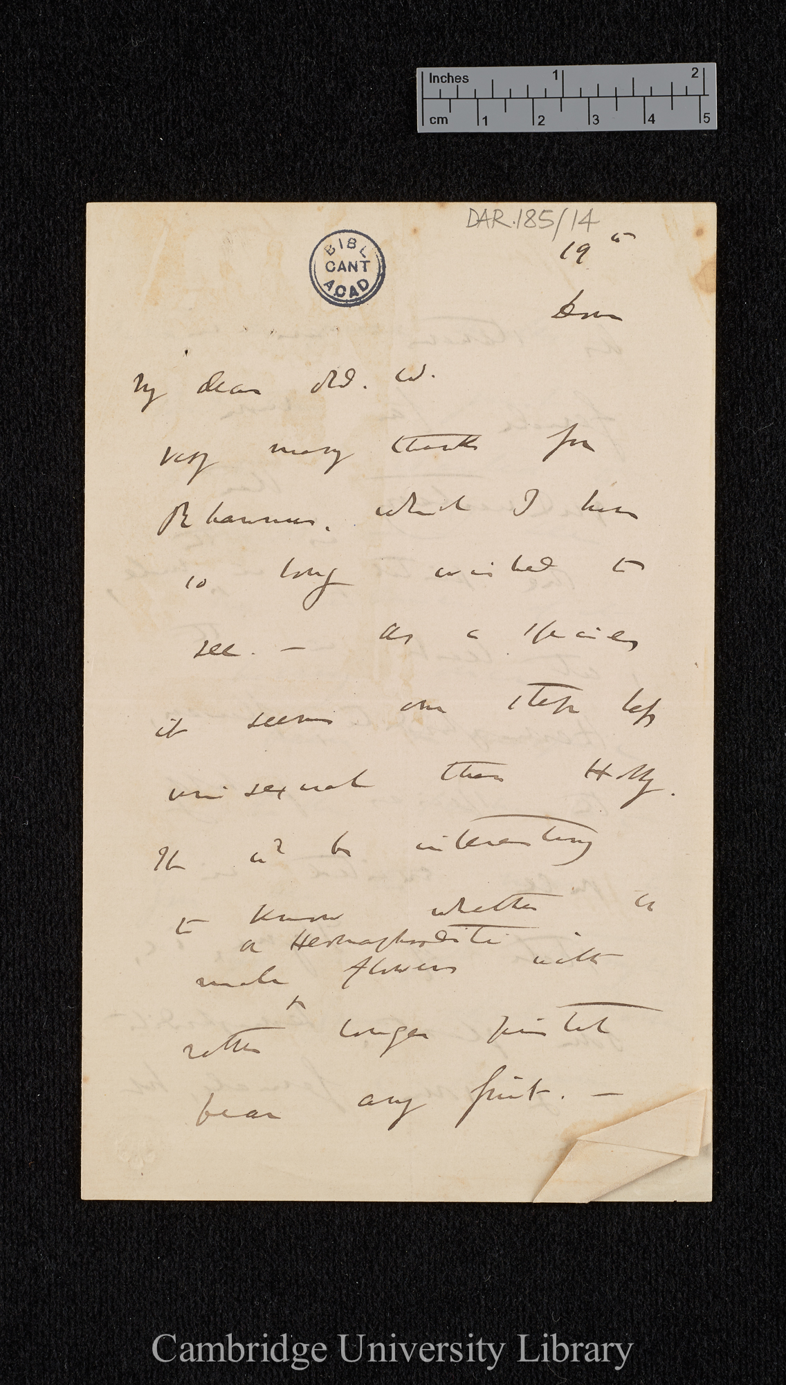 Charles Robert Darwin to William Erasmus Darwin