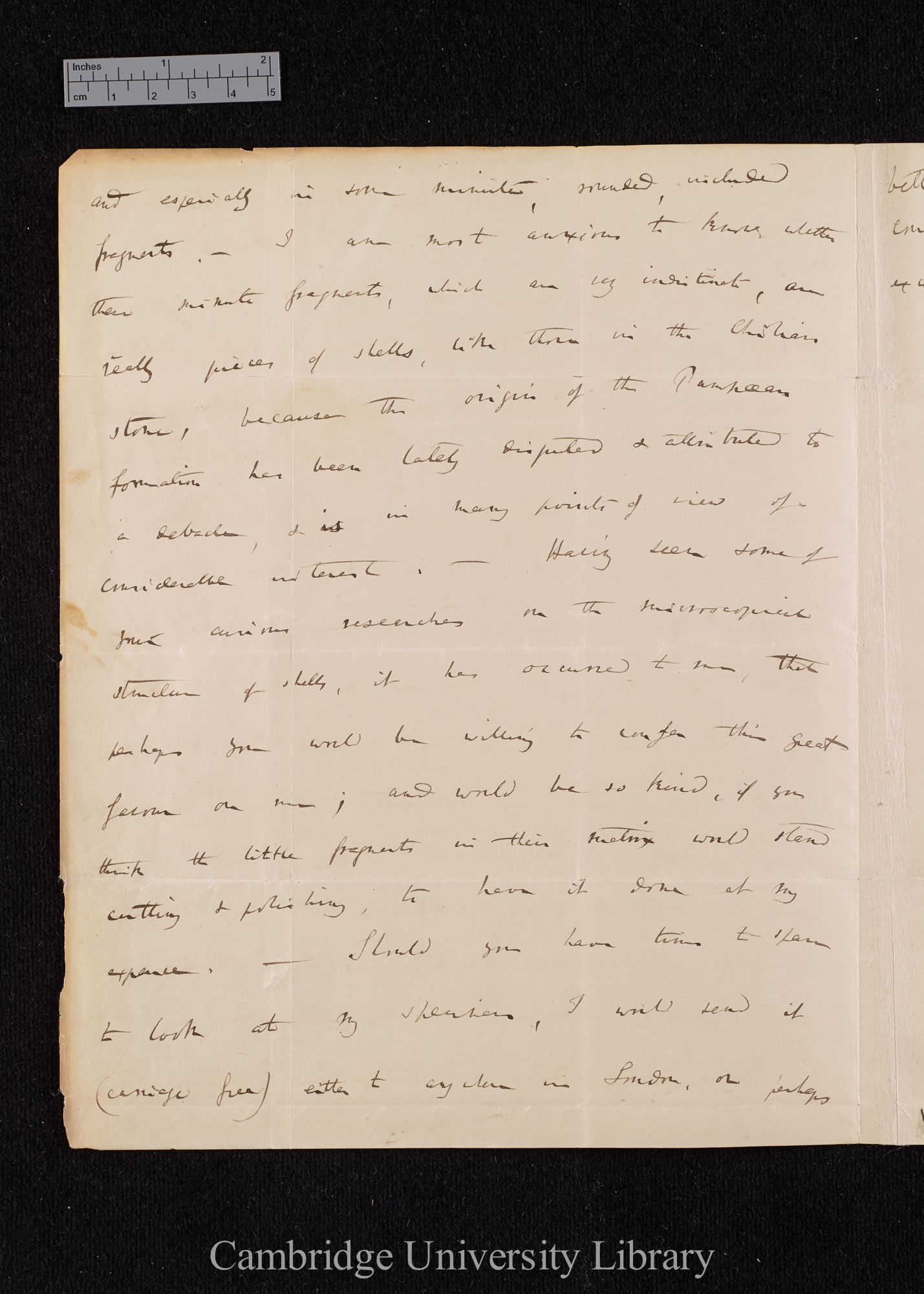 Charles Robert Darwin to William Benjamin Carpenter