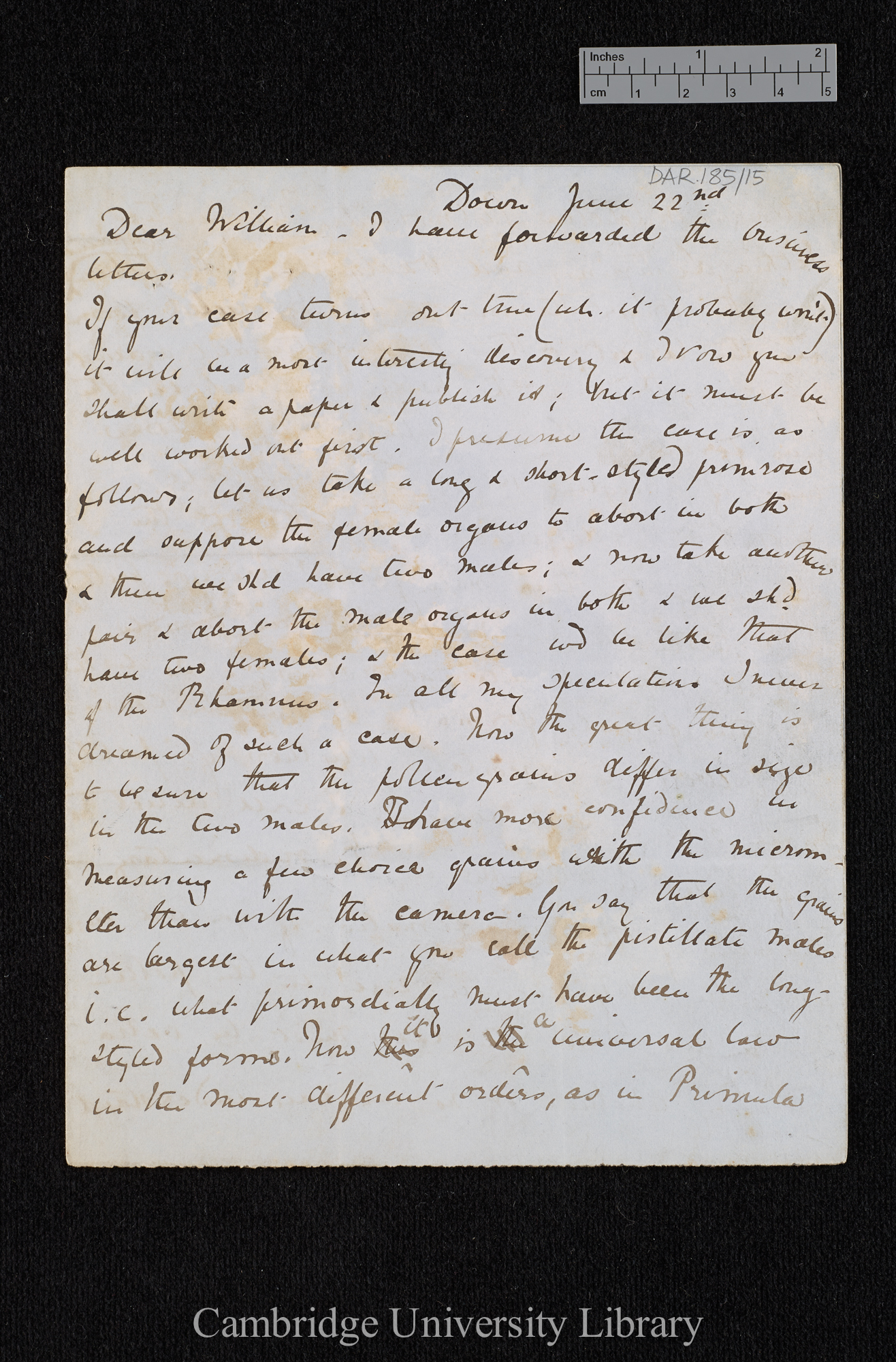 Charles Robert Darwin to William Erasmus Darwin