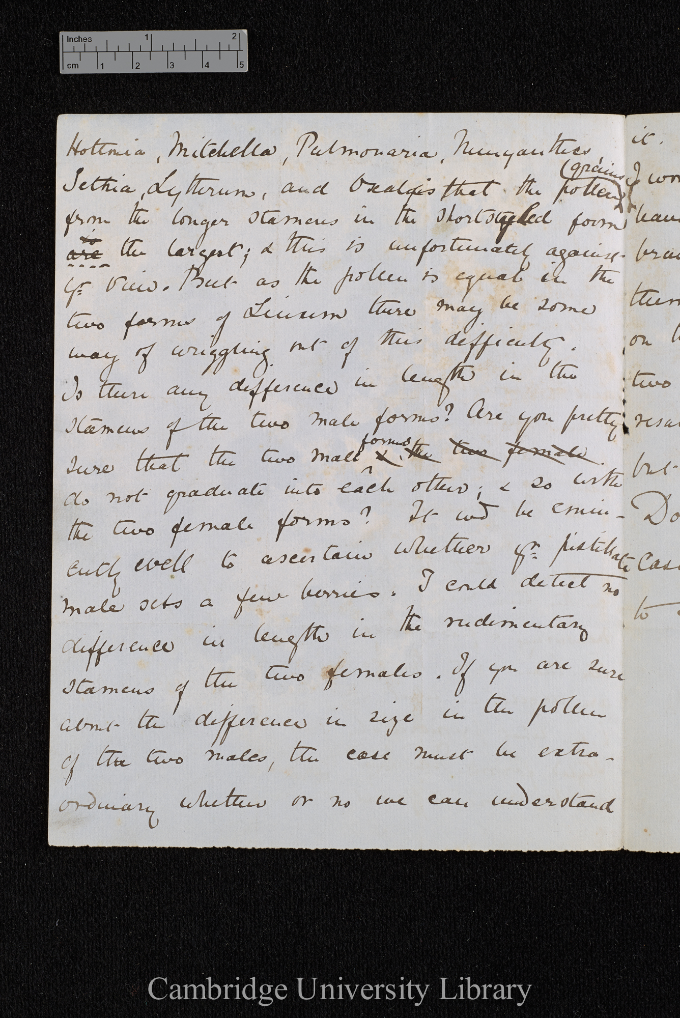 Charles Robert Darwin to William Erasmus Darwin