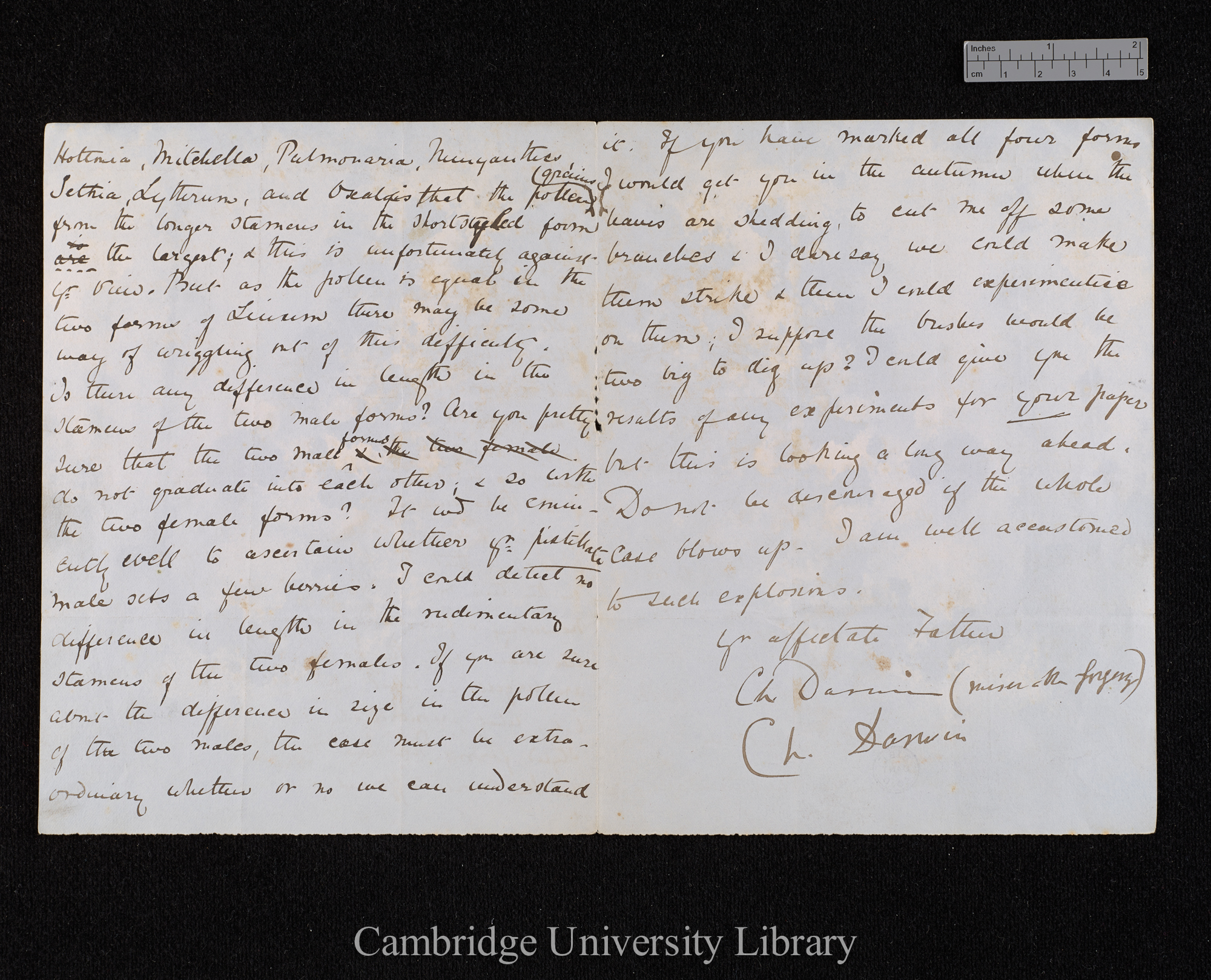 Charles Robert Darwin to William Erasmus Darwin