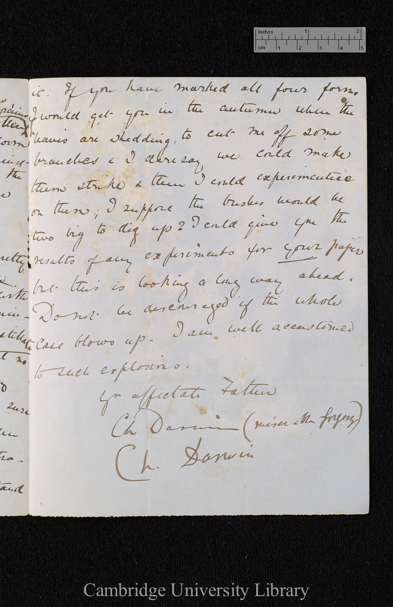 Charles Robert Darwin to William Erasmus Darwin