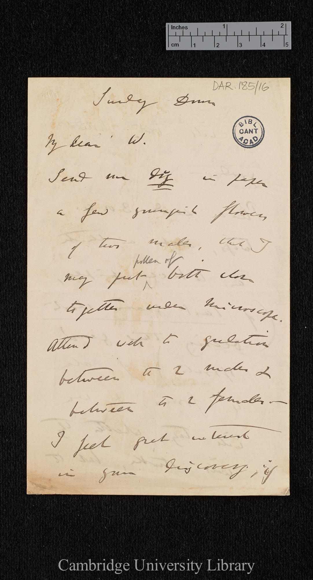 Charles Robert Darwin to William Erasmus Darwin