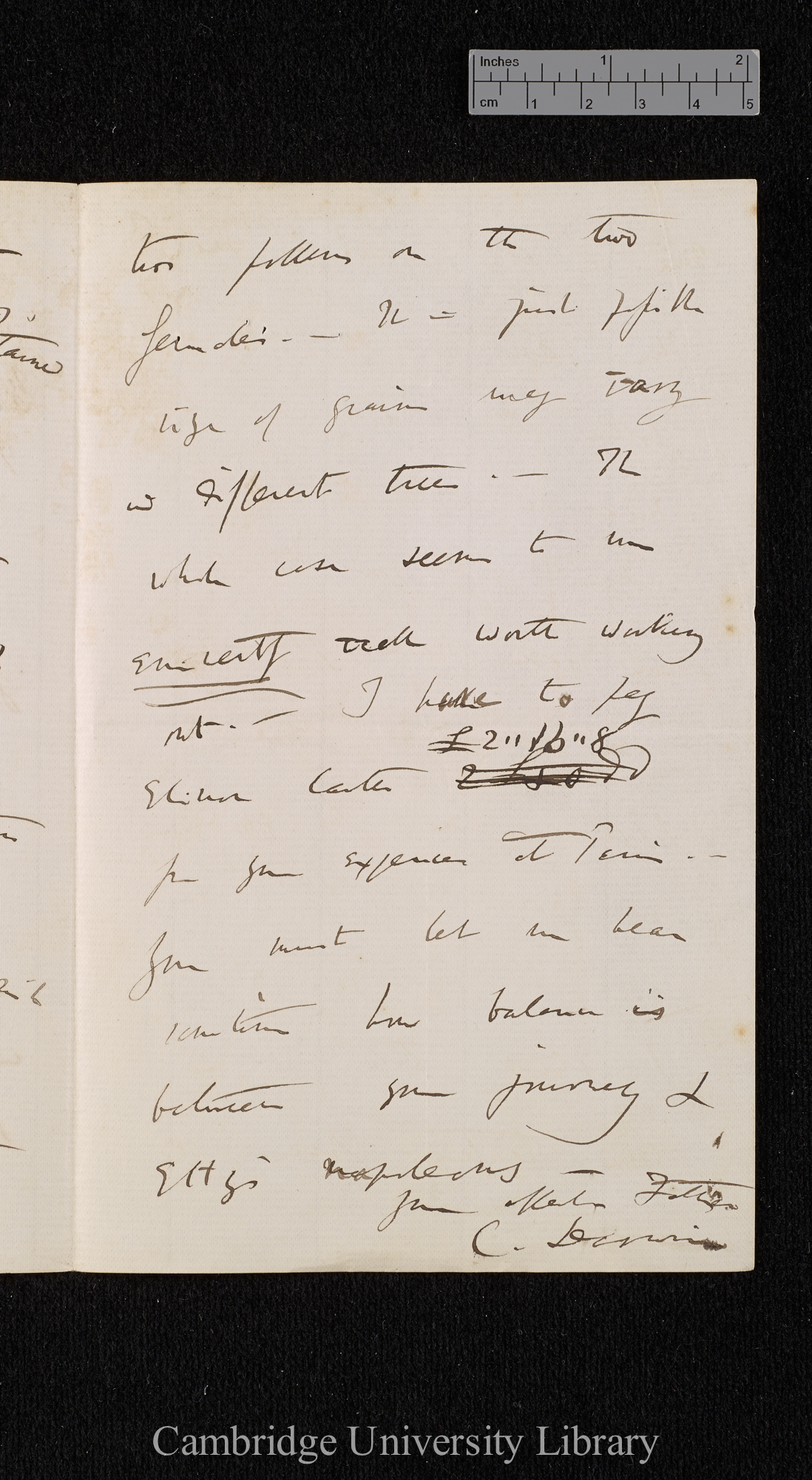 Charles Robert Darwin to William Erasmus Darwin