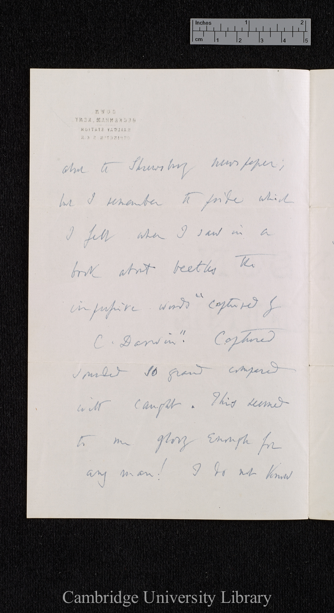 Charles Robert Darwin to Haliburton S H once Williams née Owen