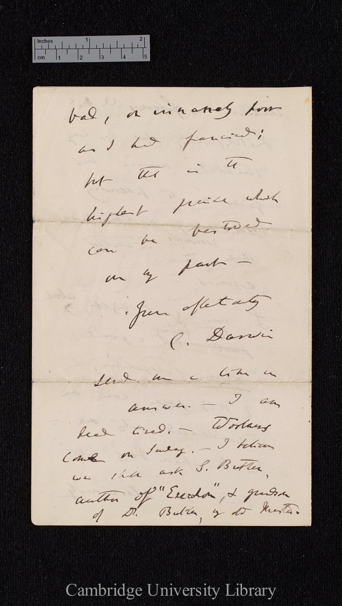 Charles Robert Darwin to Henrietta Emma Litchfield née Darwin