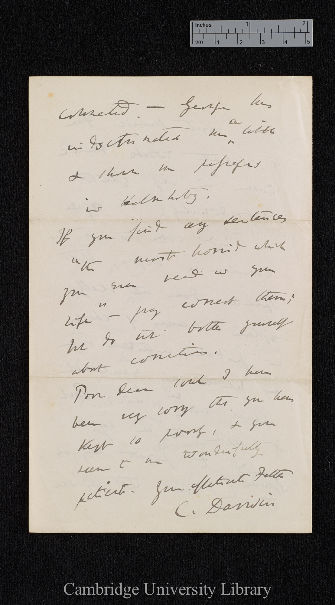 Charles Robert Darwin to Henrietta Emma Litchfield née Darwin