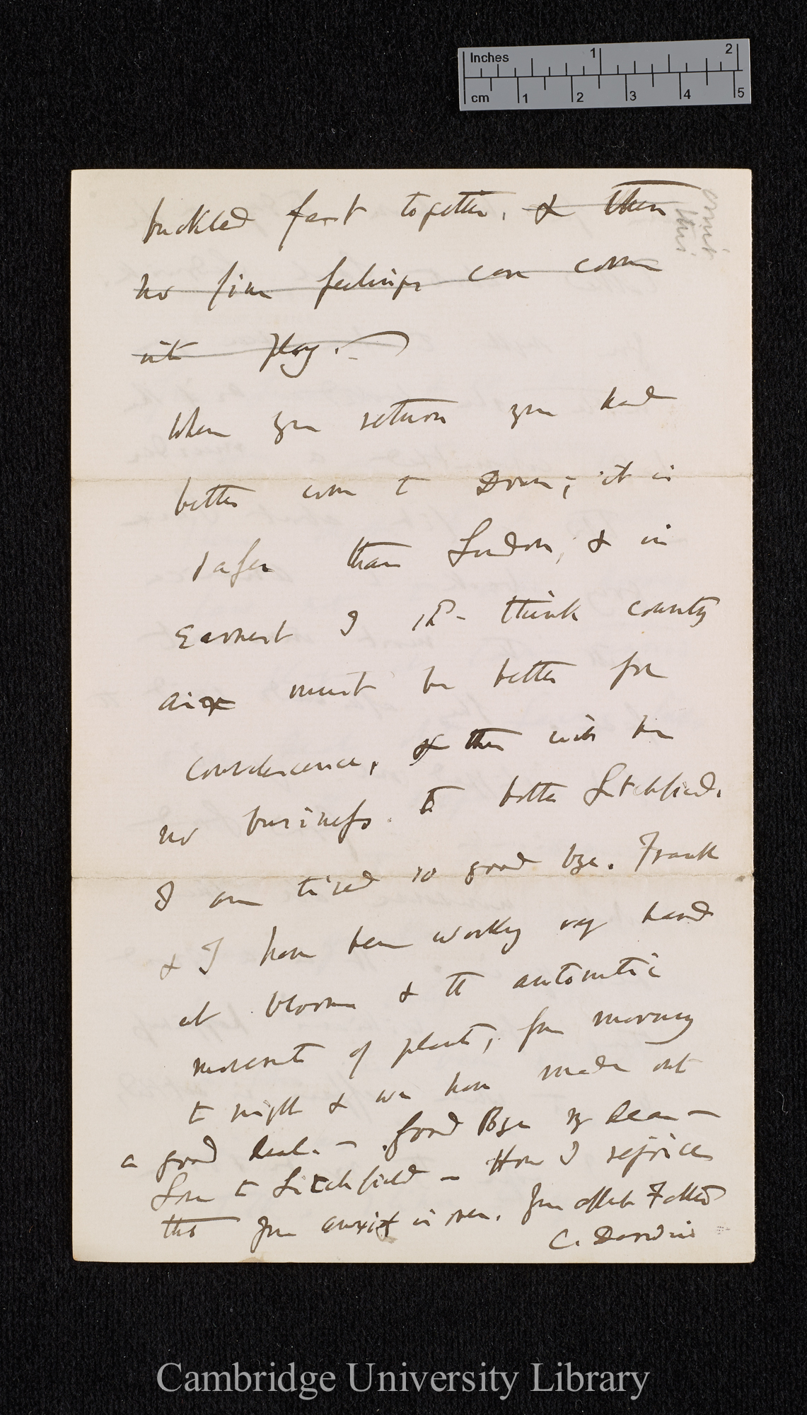 Charles Robert Darwin to Henrietta Emma Litchfield née Darwin