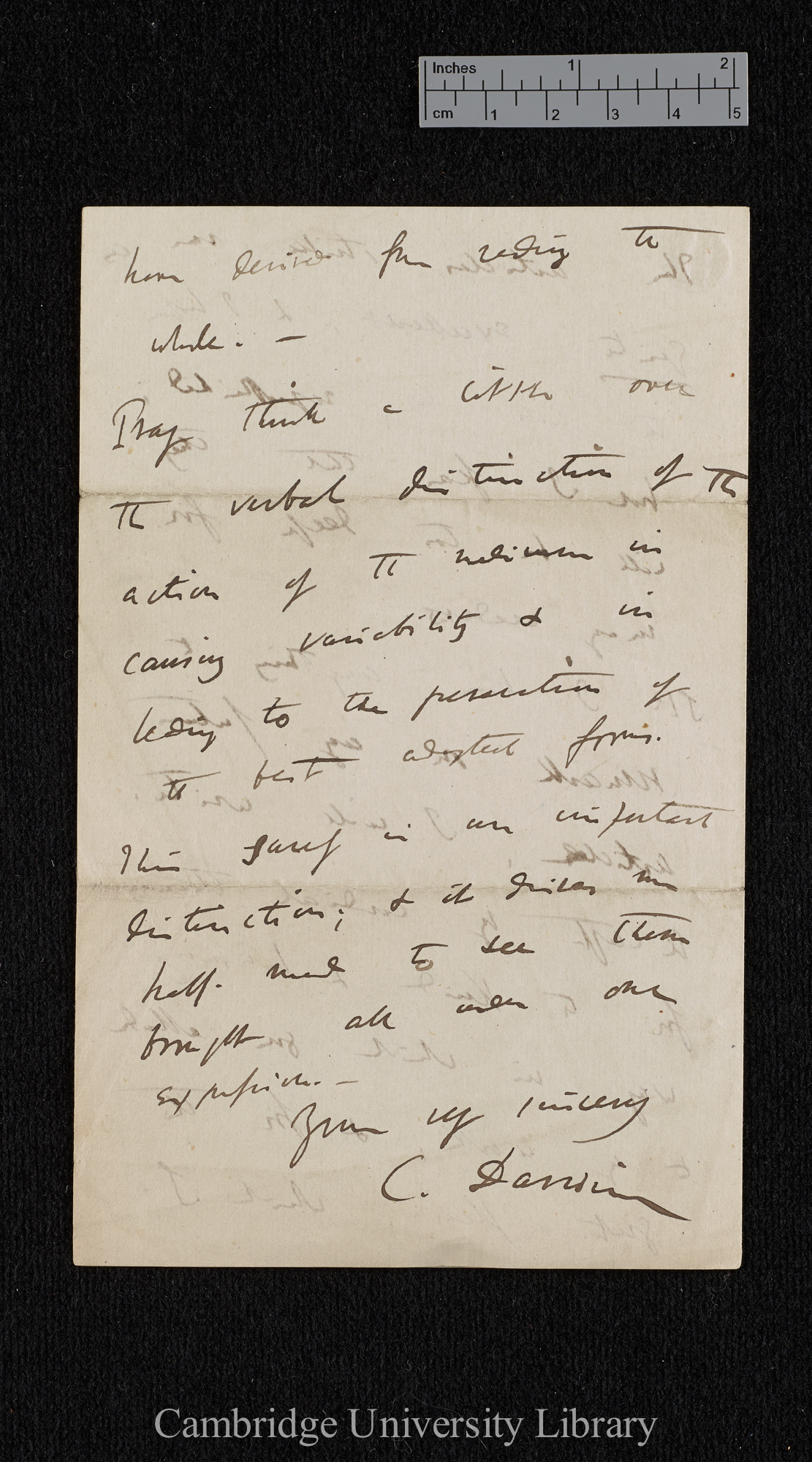 Charles Robert Darwin to George Henry Lewes