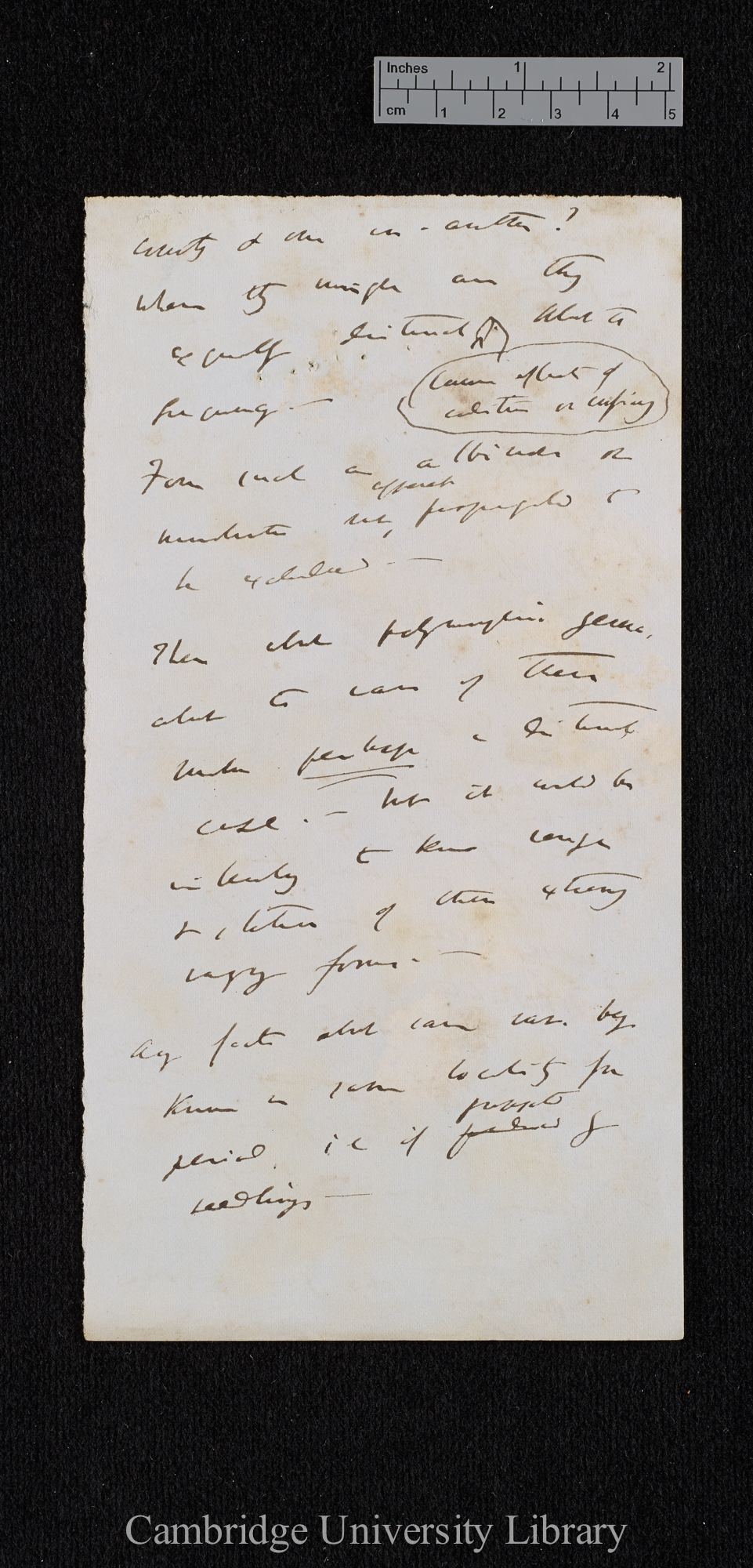 Charles Robert Darwin to [Hewett Cottrell Watson]