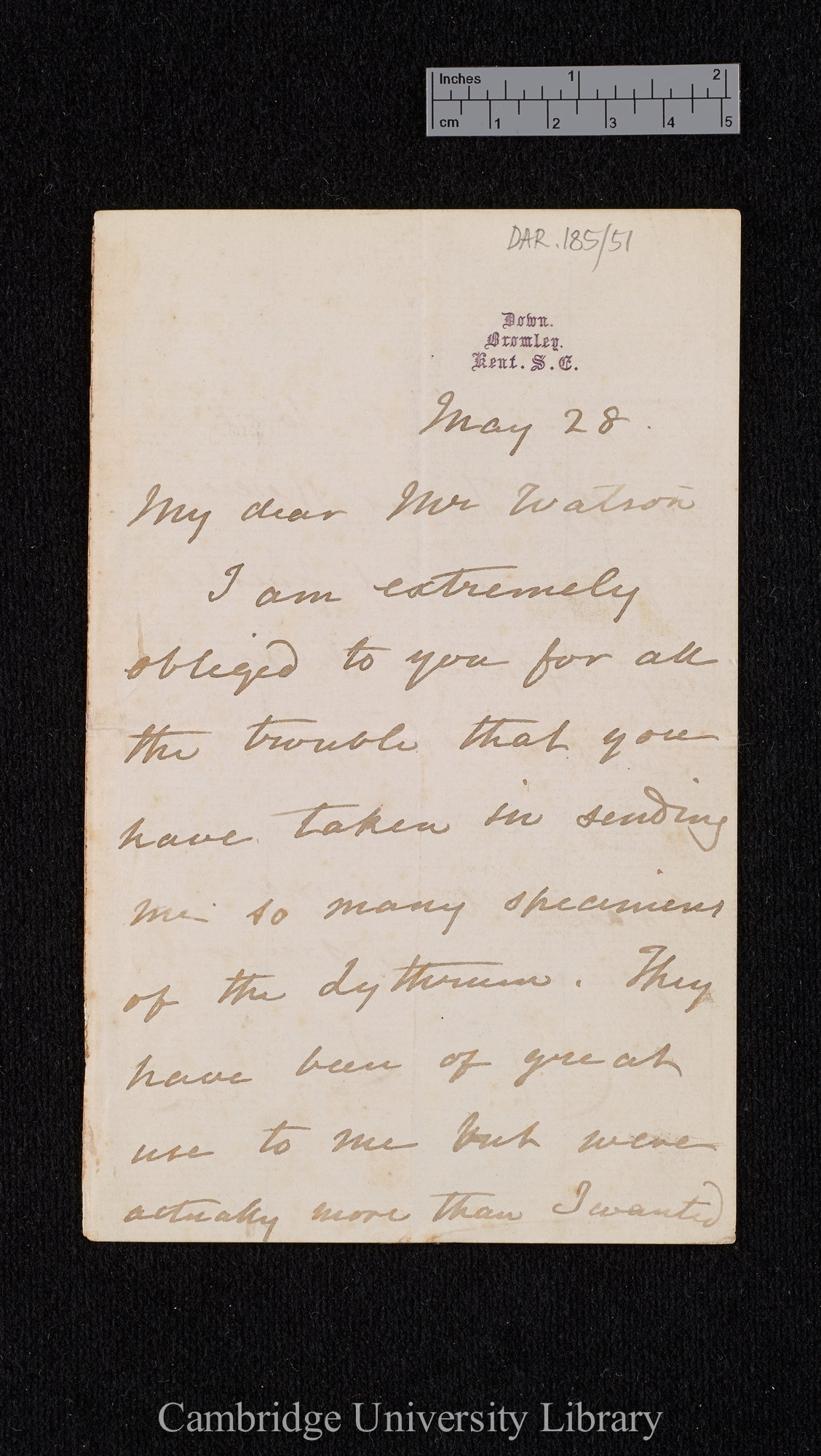 Charles Robert Darwin to Hewett Cottrell Watson