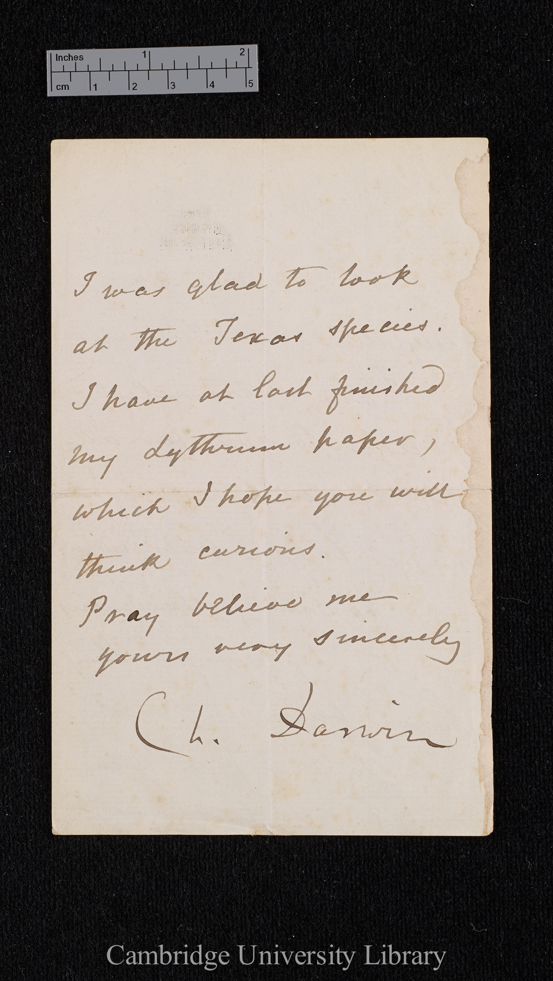 Charles Robert Darwin to Hewett Cottrell Watson