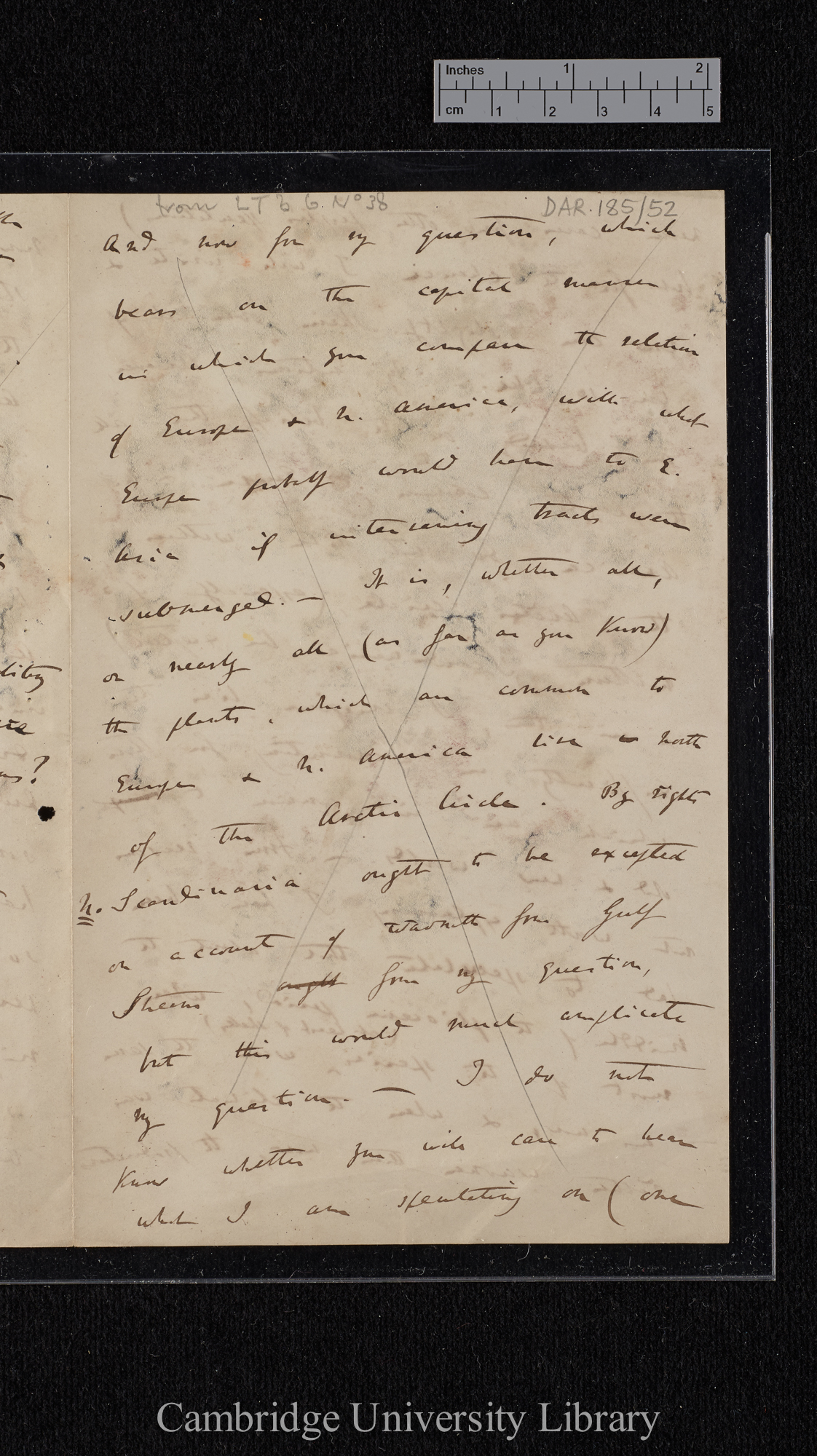 Charles Robert Darwin to [Hewett Cottrell Watson]