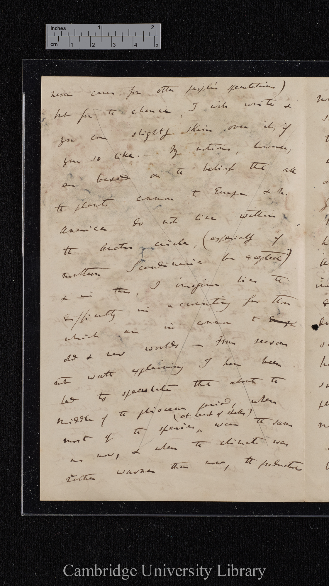 Charles Robert Darwin to [Hewett Cottrell Watson]