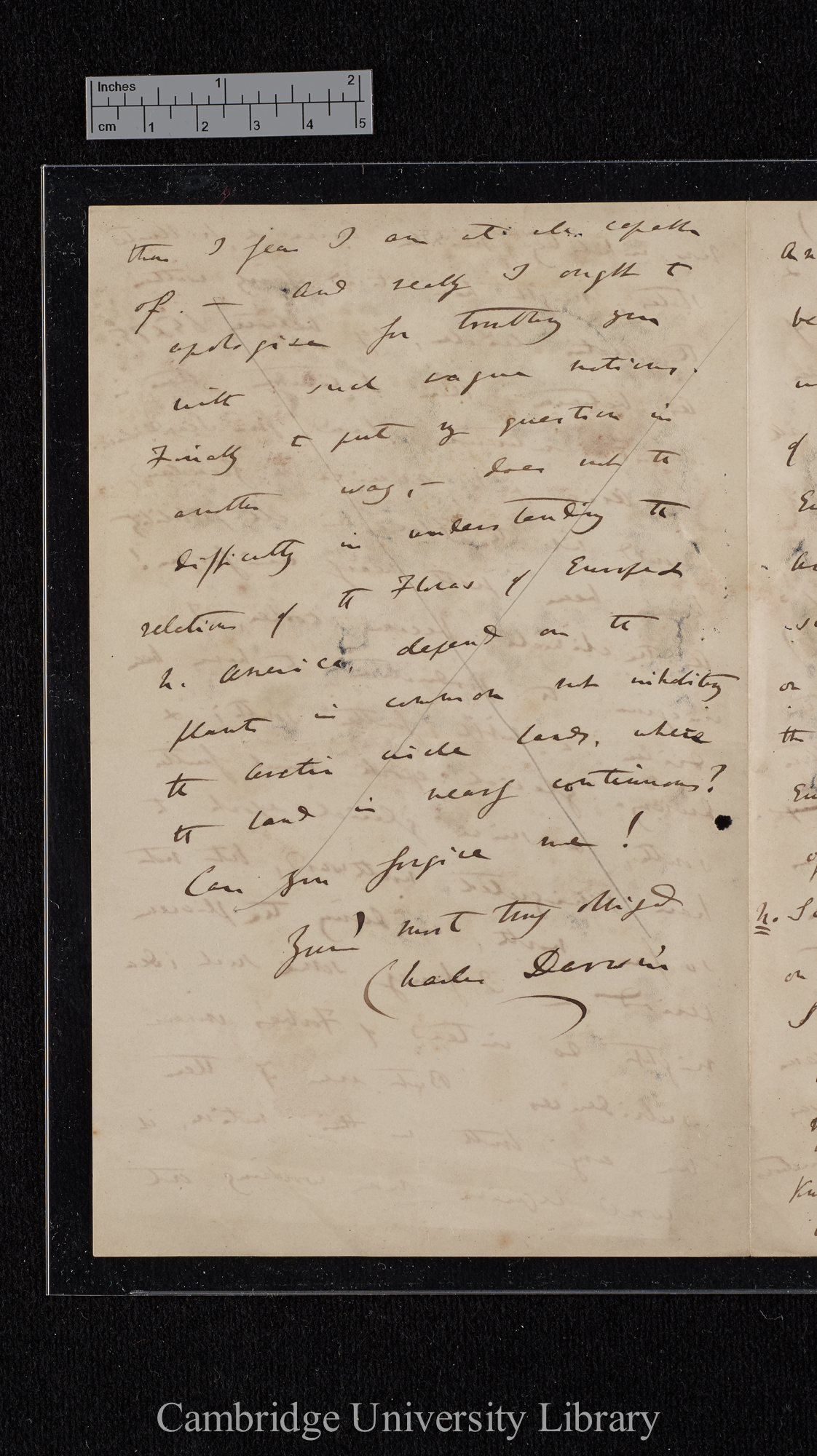 Charles Robert Darwin to [Hewett Cottrell Watson]