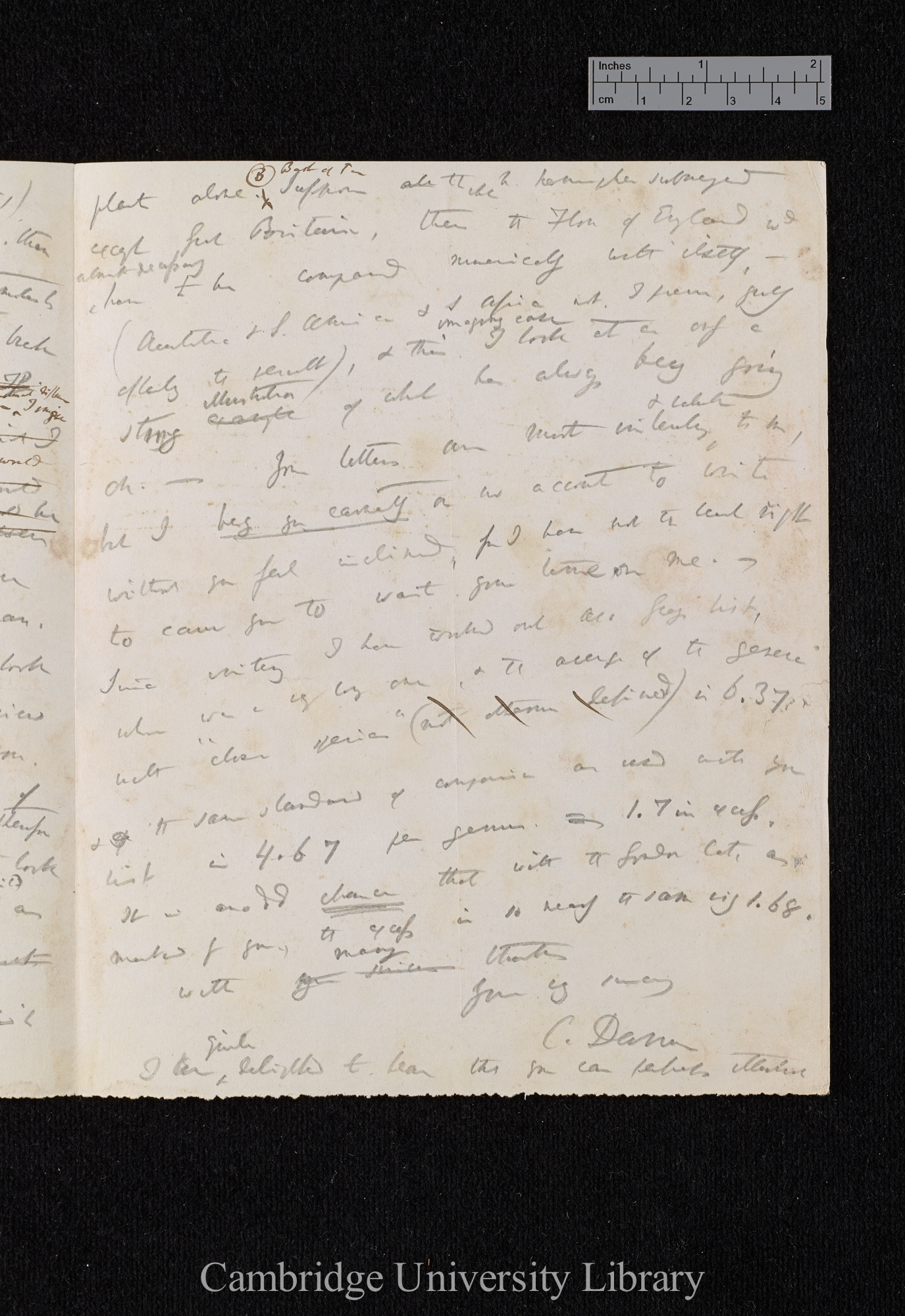 Charles Robert Darwin to Hewett Cottrell Watson