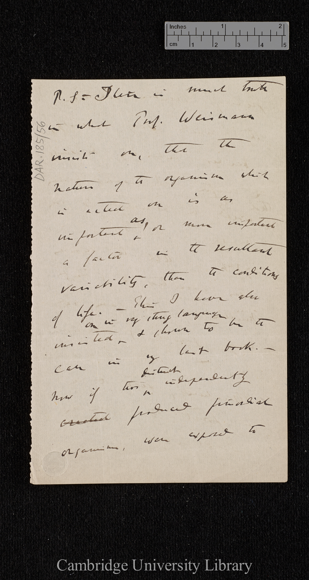 Charles Robert Darwin to [George Henry Lewes]