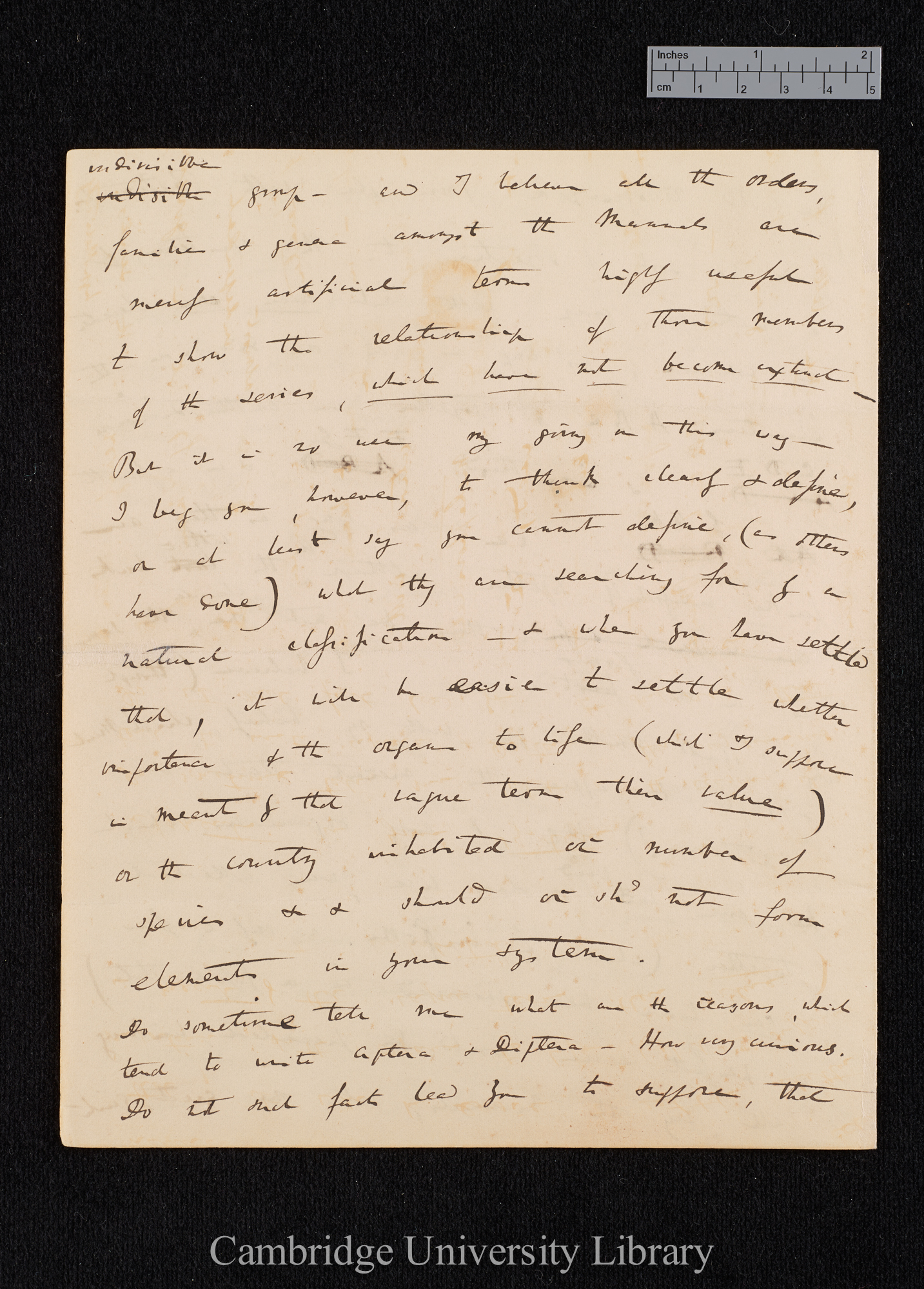 Charles Robert Darwin to George Robert Waterhouse