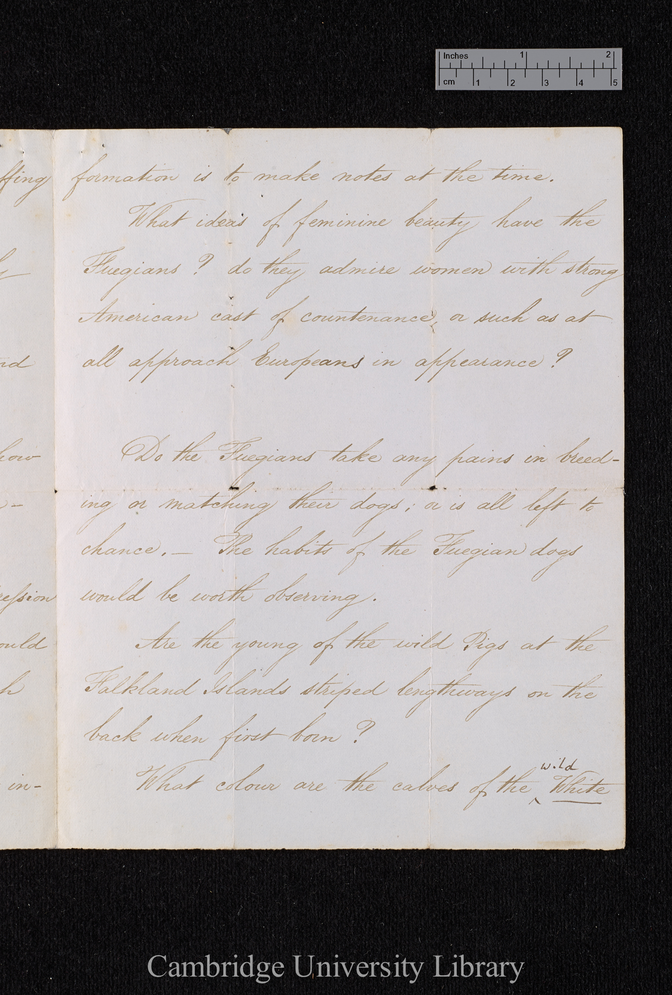 Charles Robert Darwin to [Thomas Bridges?]