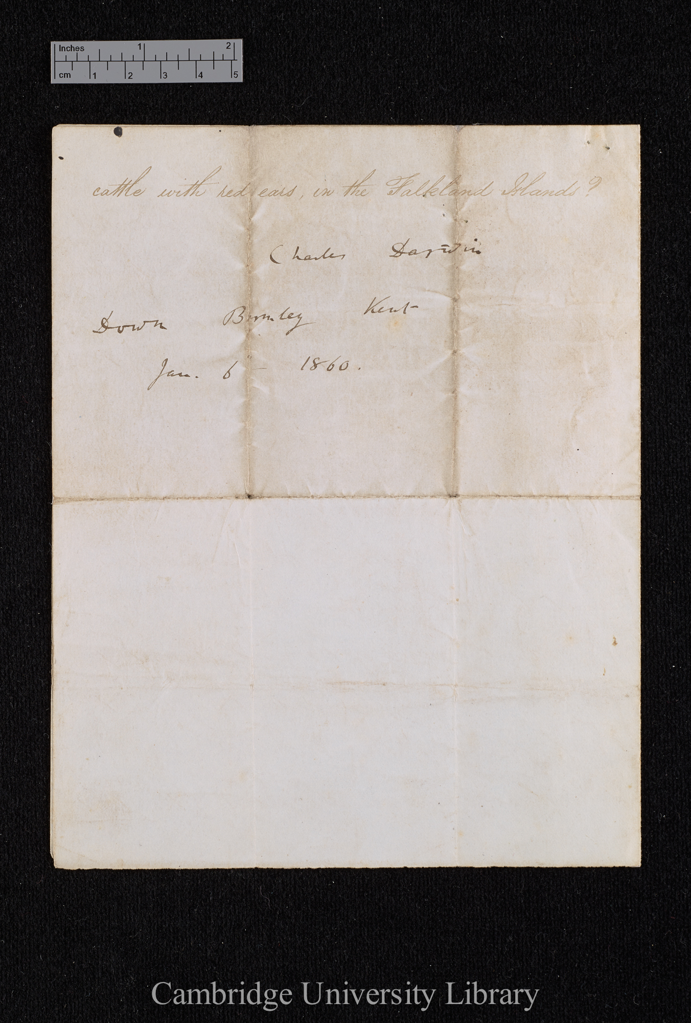 Charles Robert Darwin to [Thomas Bridges?]