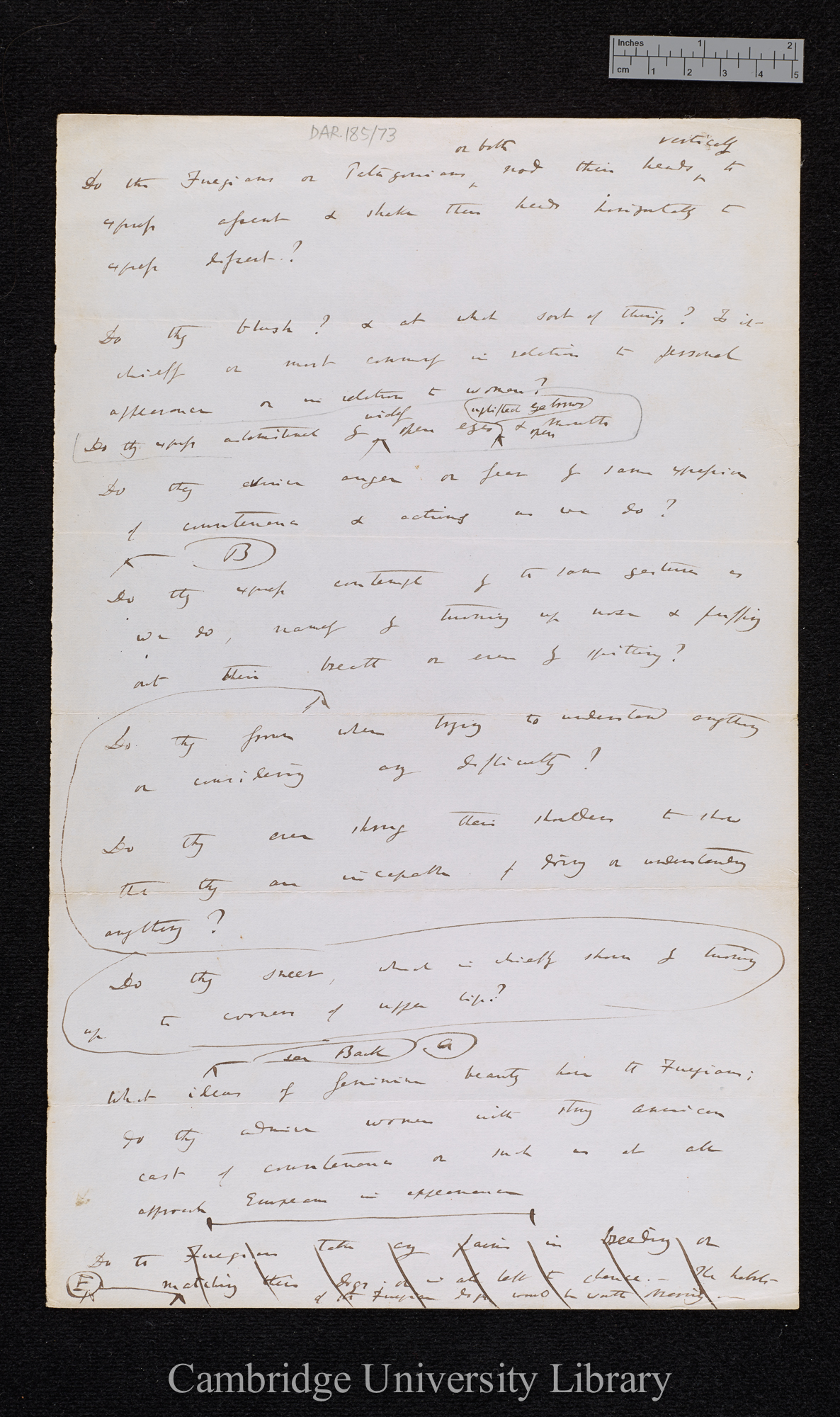 Charles Robert Darwin to [Thomas Bridges?]