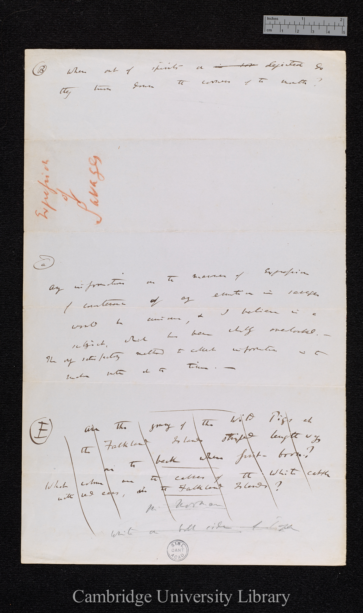 Charles Robert Darwin to [Thomas Bridges?]