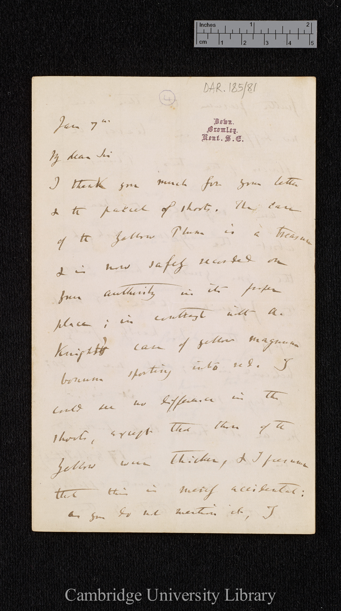 Charles Robert Darwin to [Thomas Rivers]