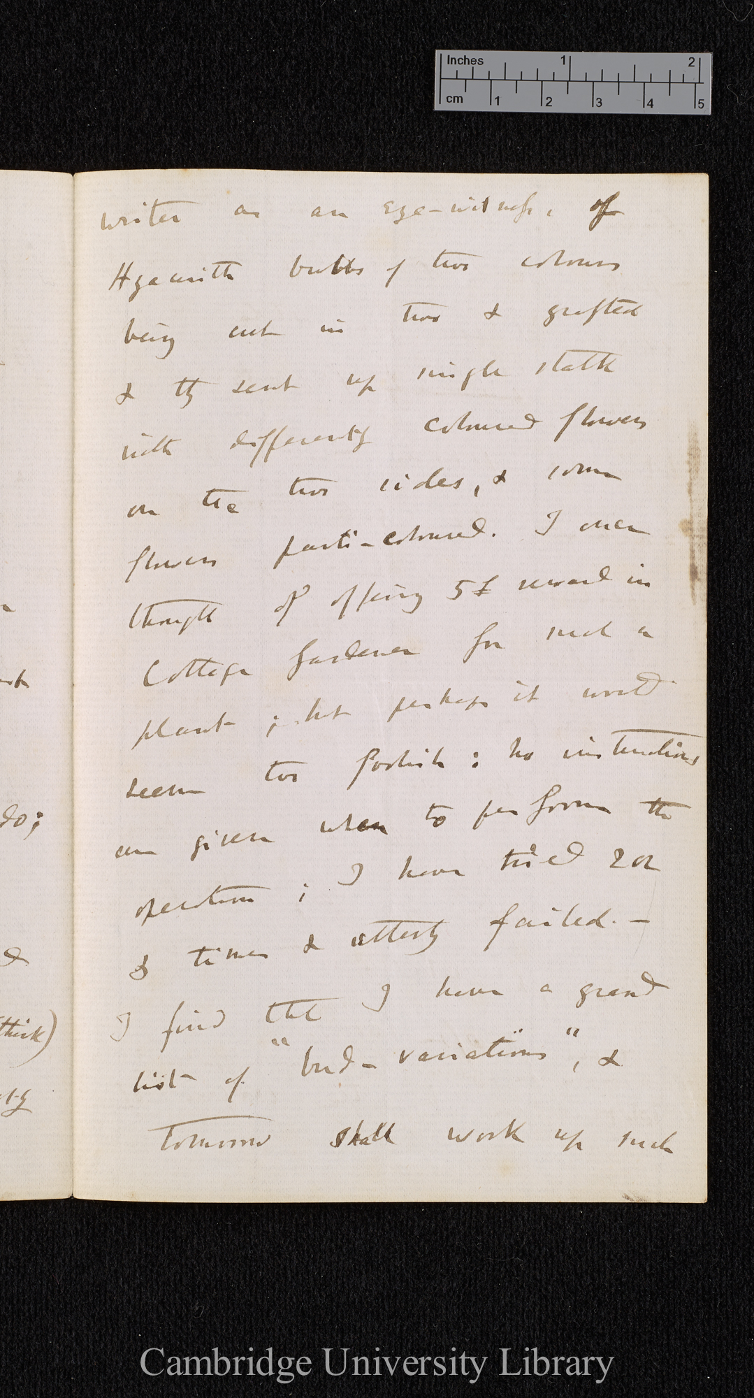 Charles Robert Darwin to [Thomas Rivers]