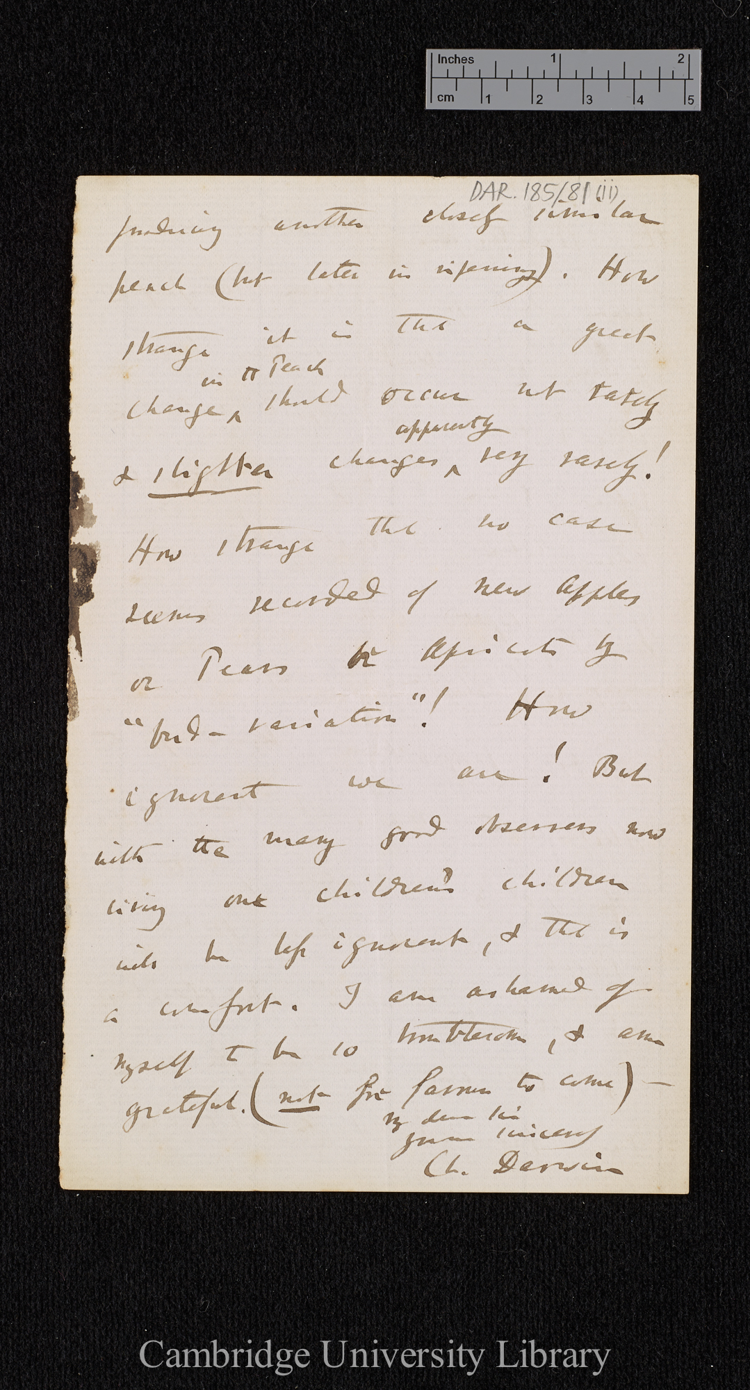 Charles Robert Darwin to [Thomas Rivers]