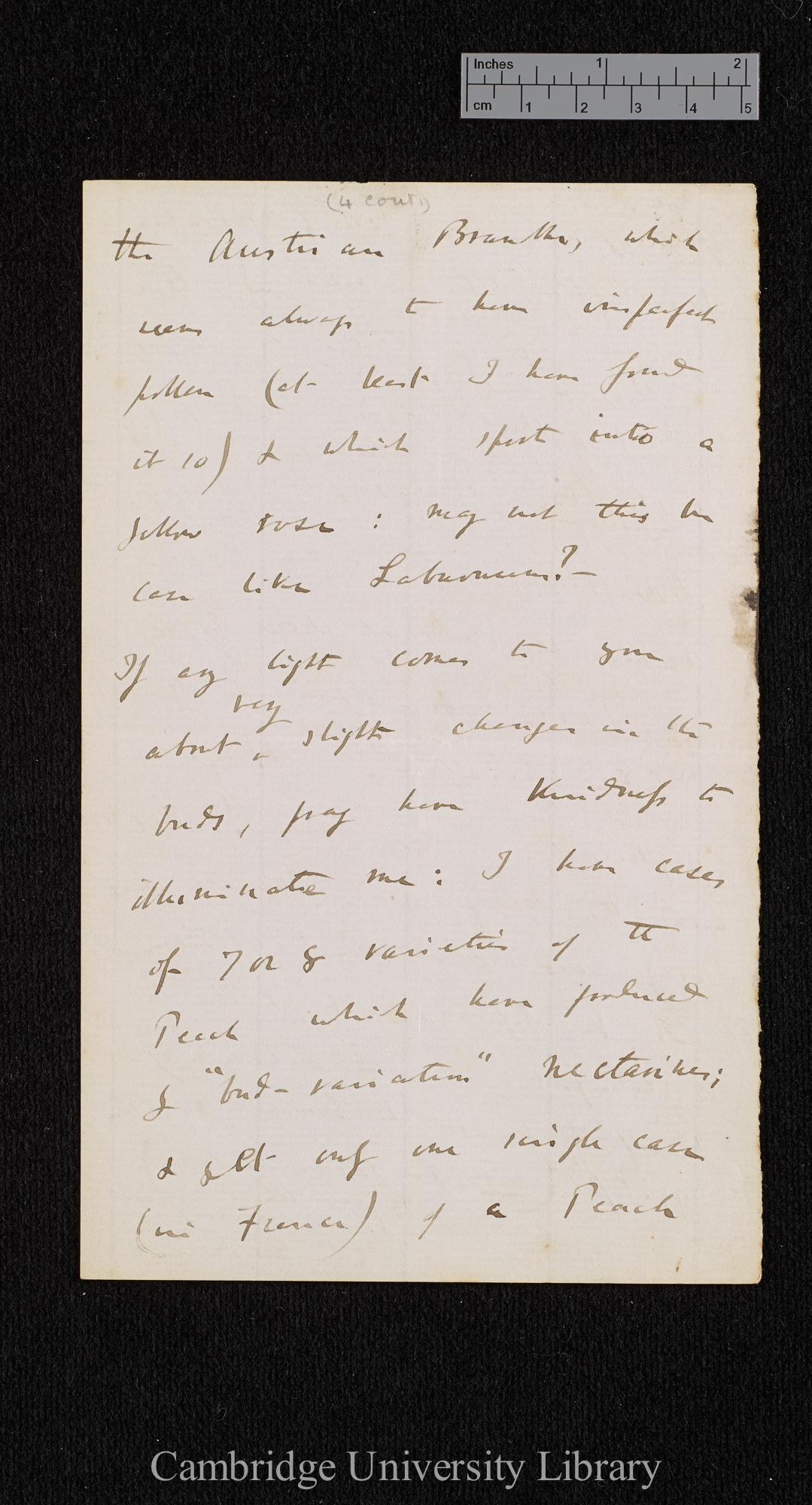 Charles Robert Darwin to [Thomas Rivers]