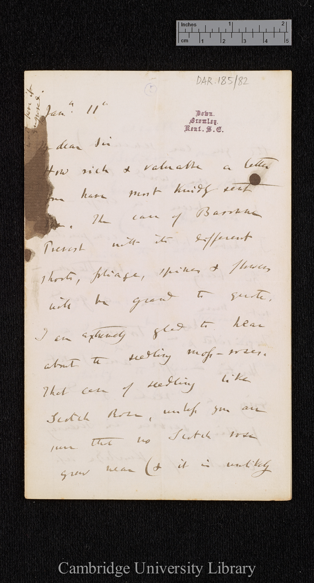 Charles Robert Darwin to [Thomas Rivers]