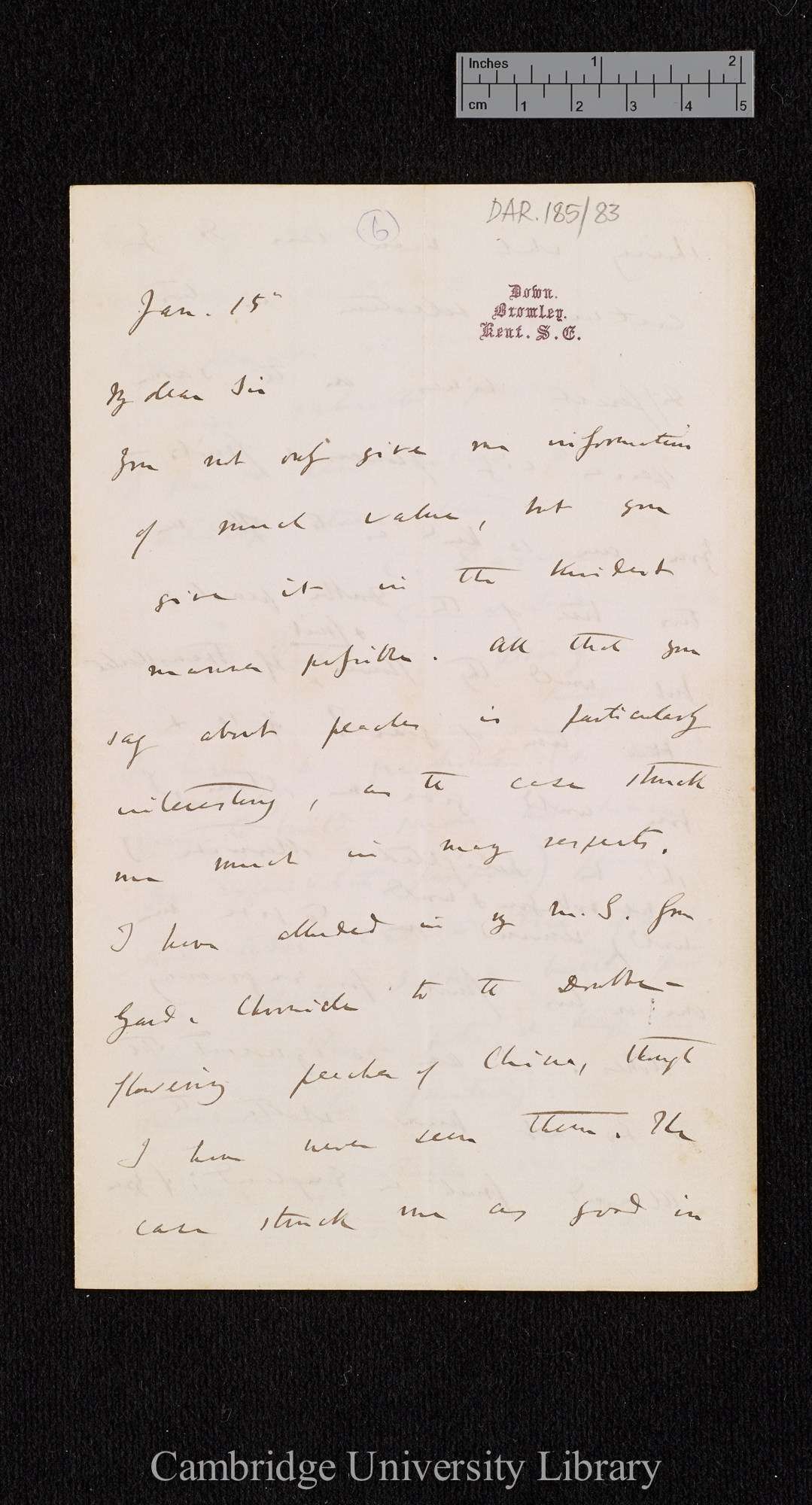 Charles Robert Darwin to [Thomas Rivers]