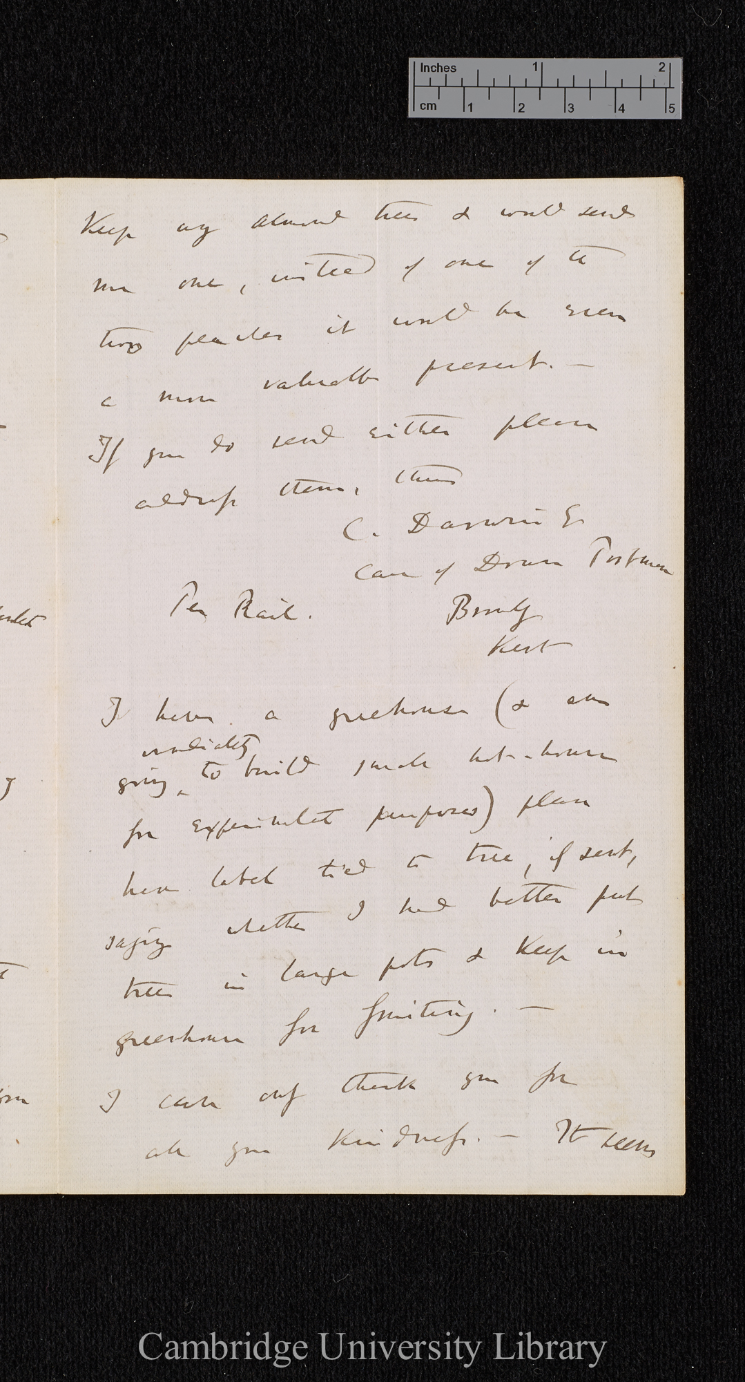 Charles Robert Darwin to [Thomas Rivers]