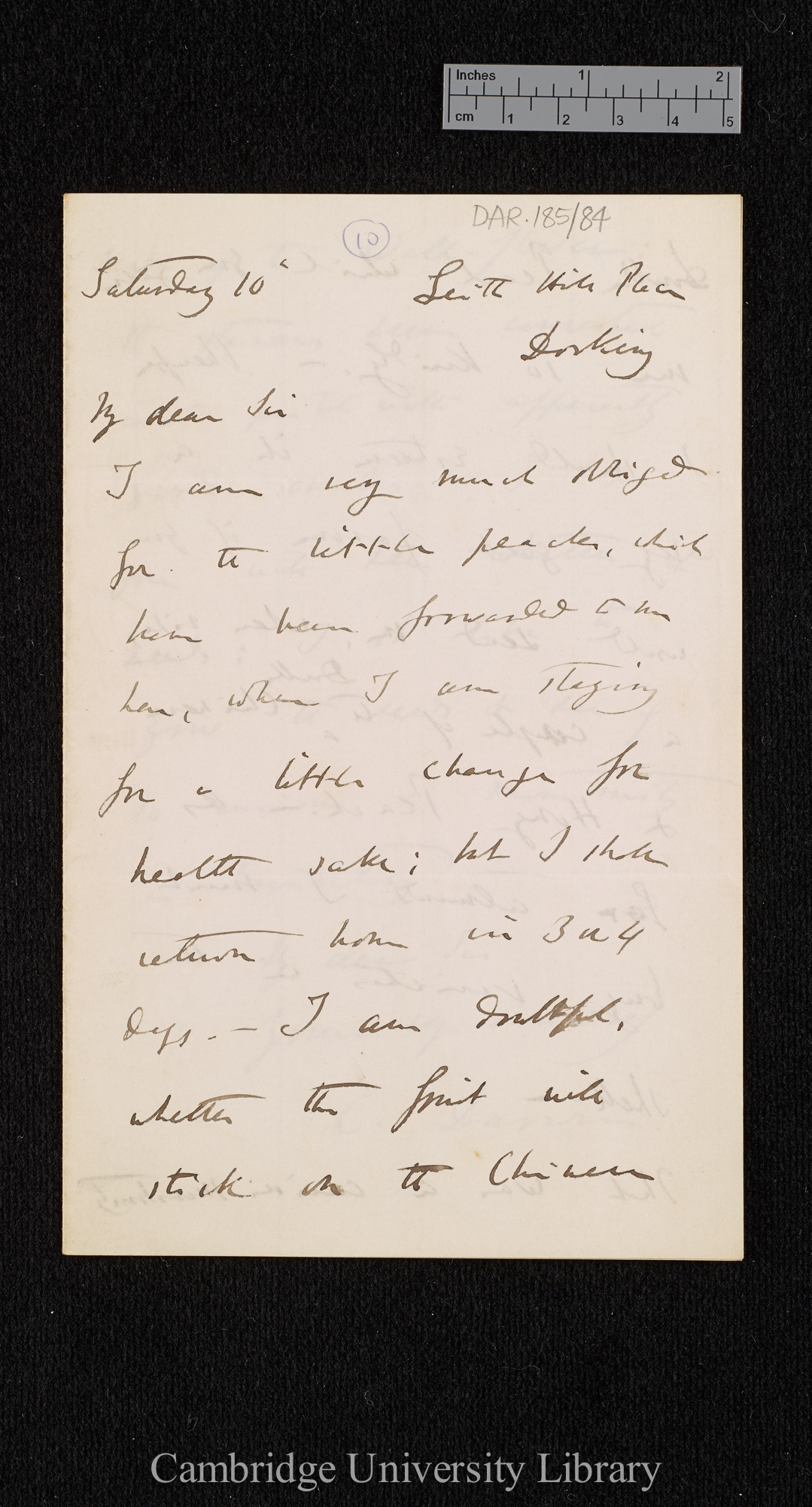 Charles Robert Darwin to [Thomas Rivers]