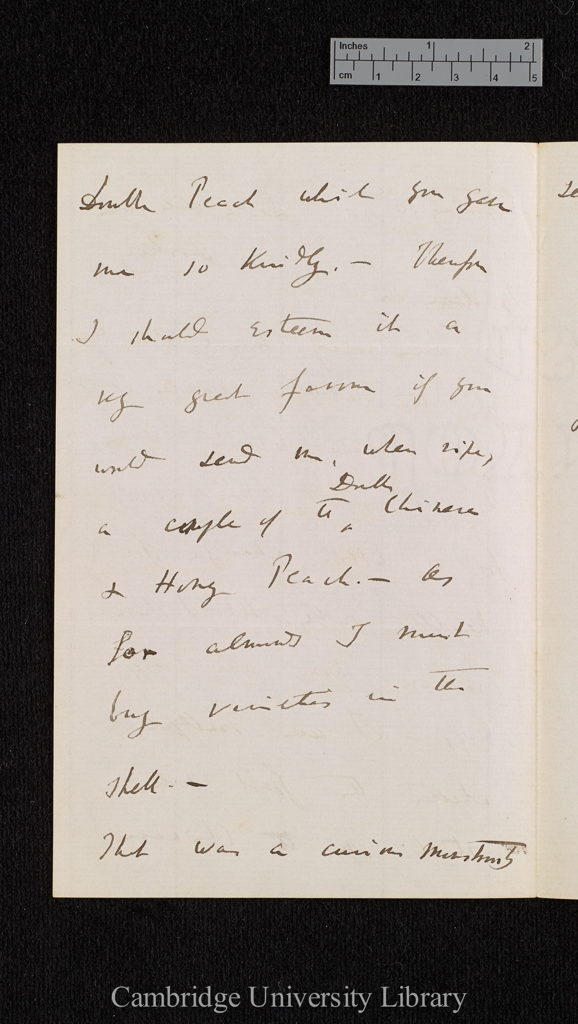 Charles Robert Darwin to [Thomas Rivers]