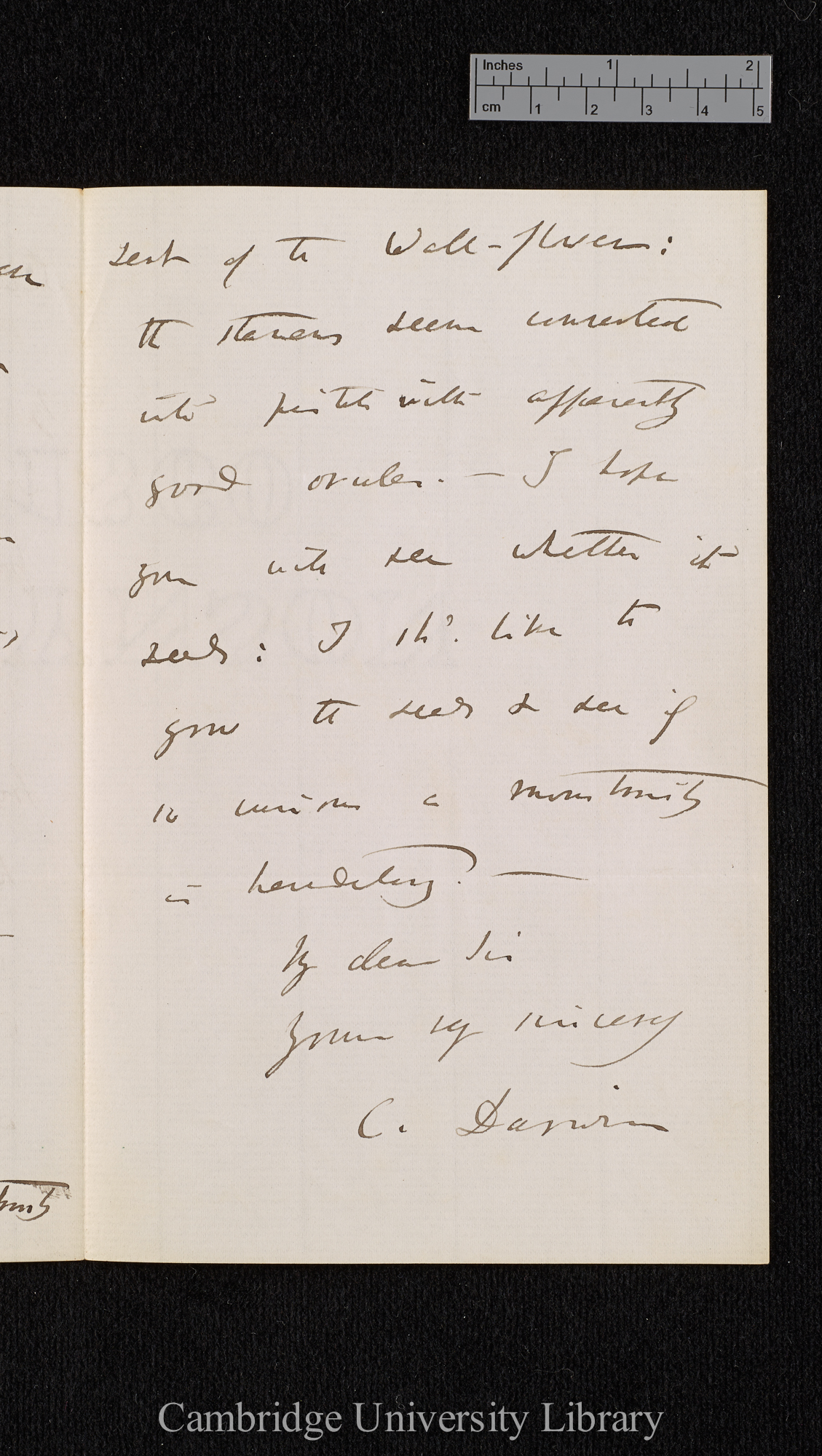 Charles Robert Darwin to [Thomas Rivers]