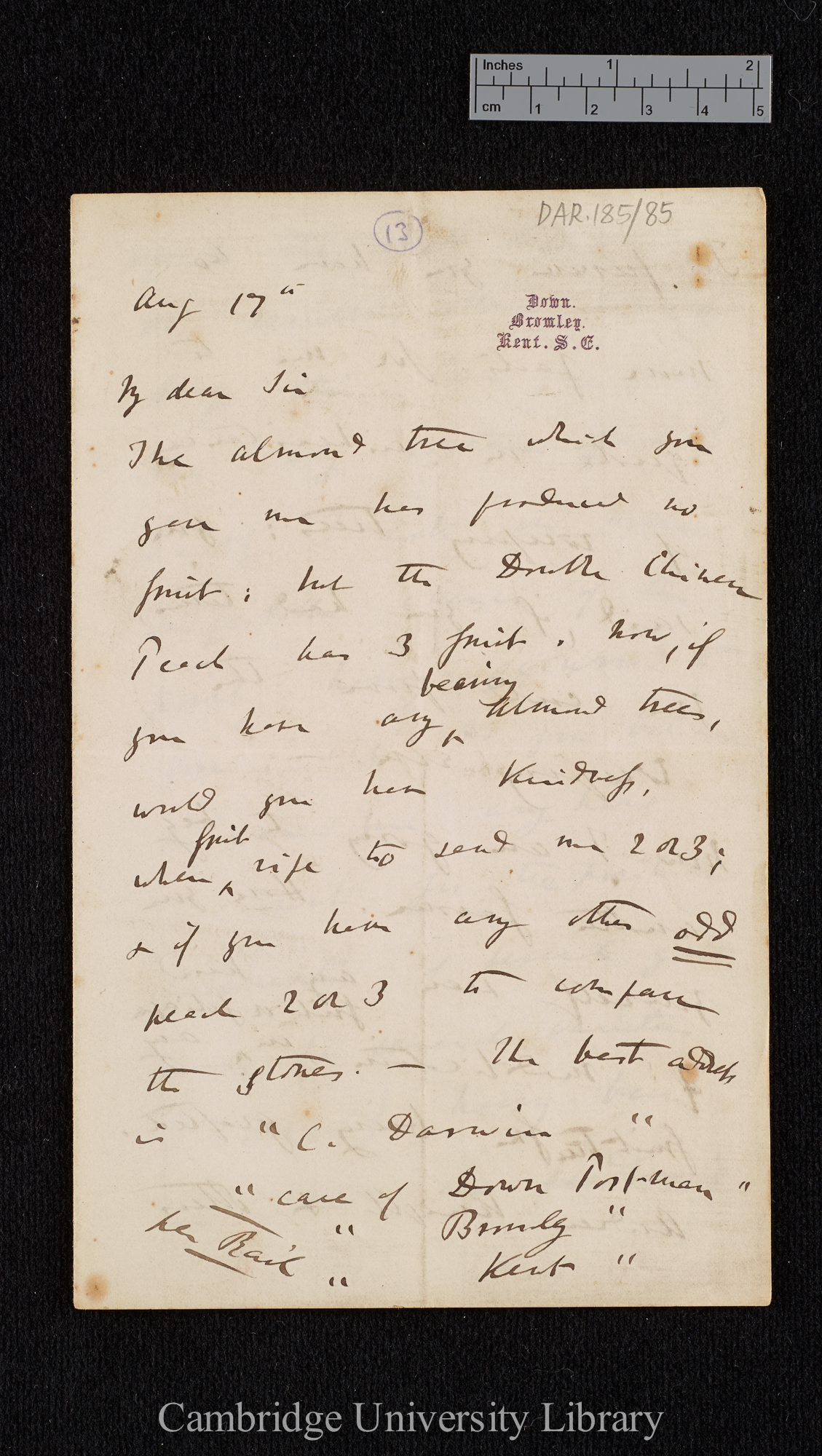 Charles Robert Darwin to [Thomas Rivers]