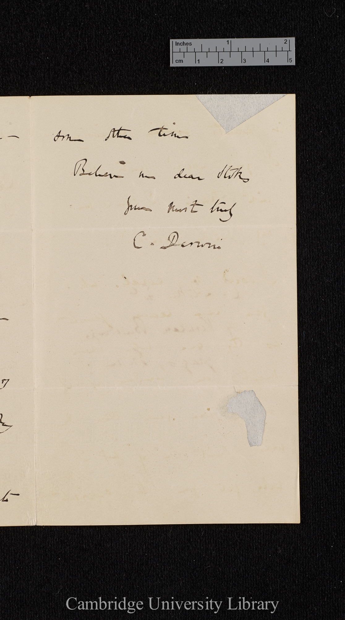 Charles Robert Darwin to Charles Stokes