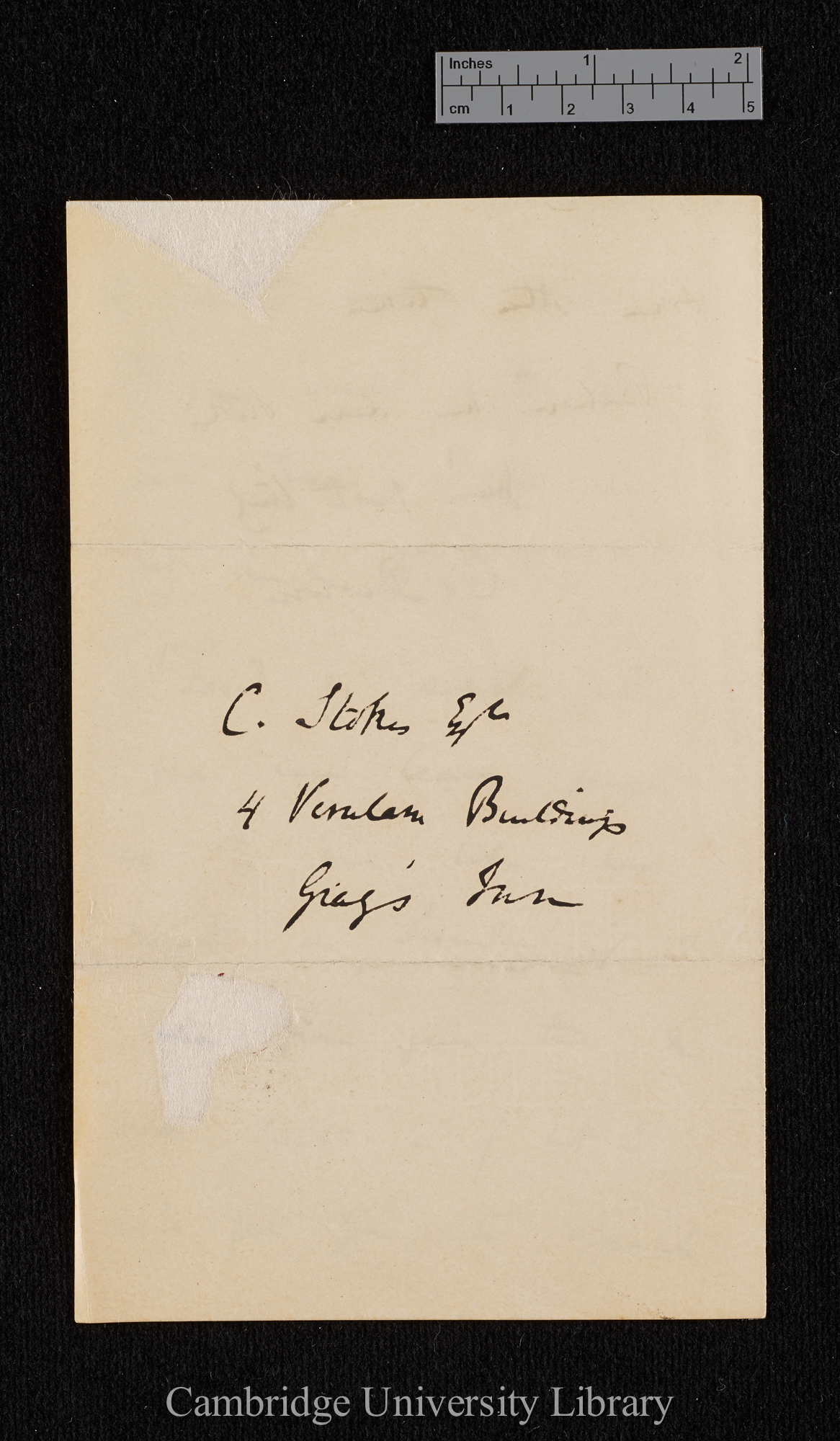 Charles Robert Darwin to Charles Stokes