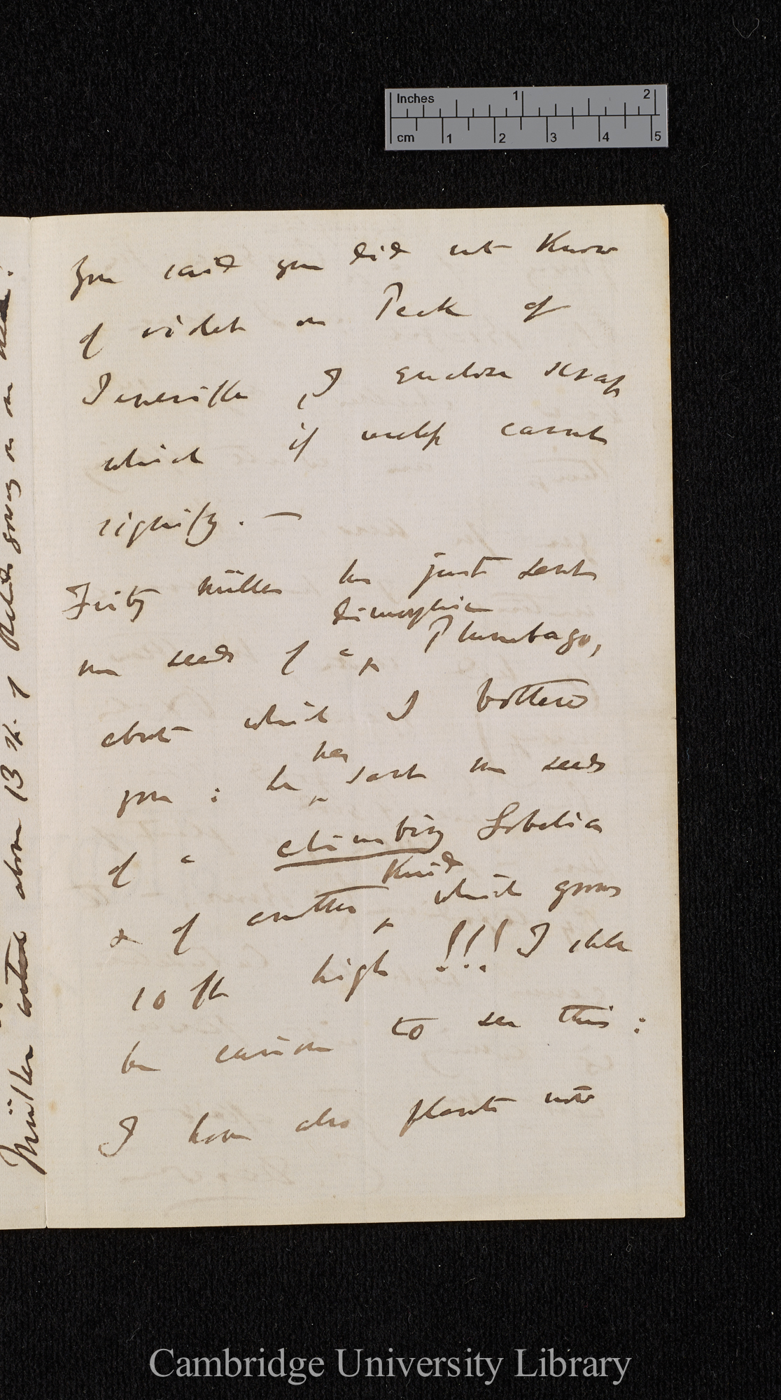 Charles Robert Darwin to Sir Joseph Dalton Hooker