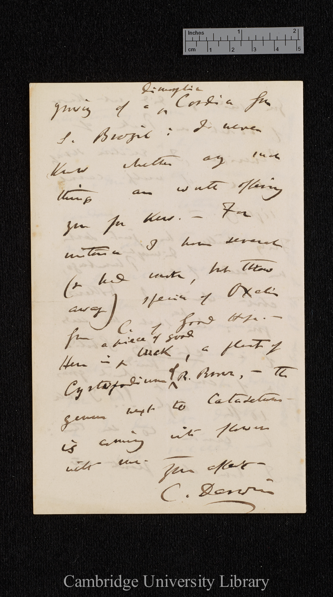 Charles Robert Darwin to Sir Joseph Dalton Hooker