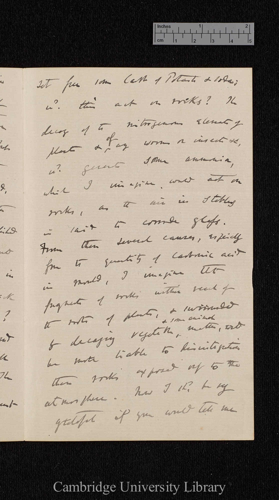 Charles Robert Darwin to David Forbes