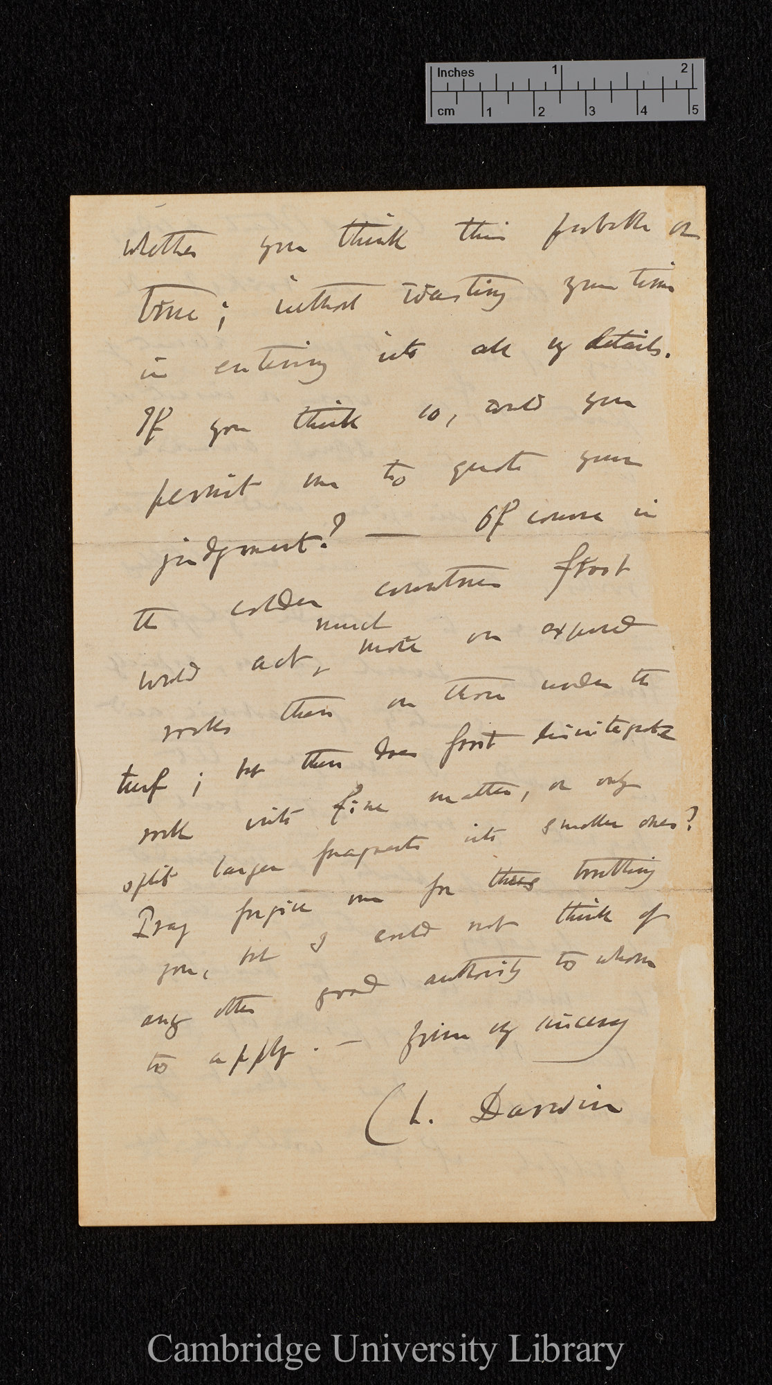 Charles Robert Darwin to David Forbes