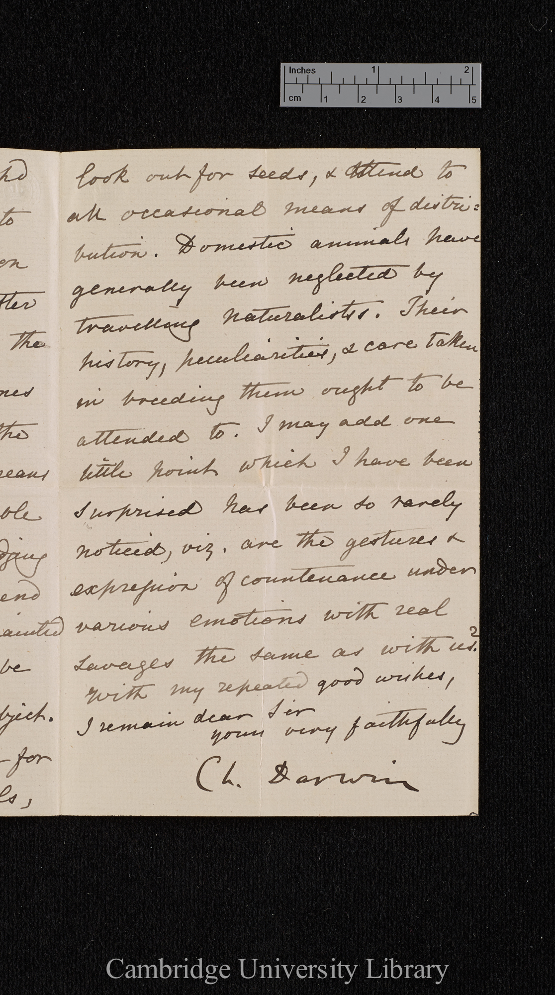 Charles Robert Darwin to Cuthbert Collingwood